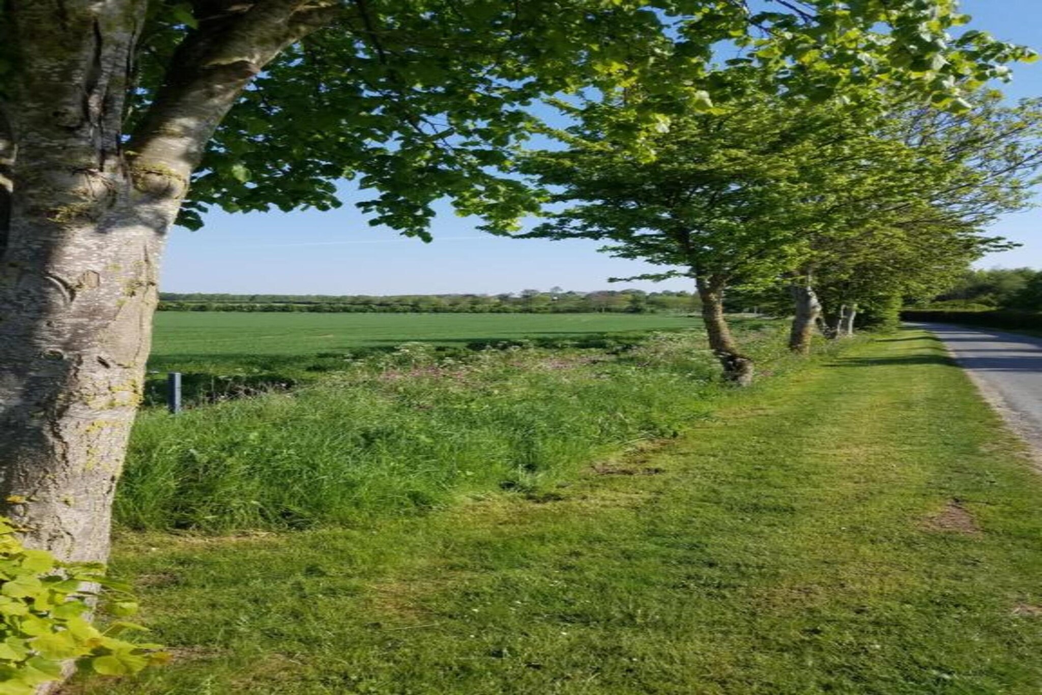 Longwool View-Zones d'été à 20 km