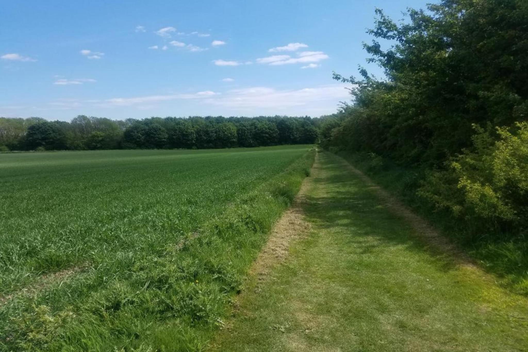 Longwool View-Zones d'été à 20 km