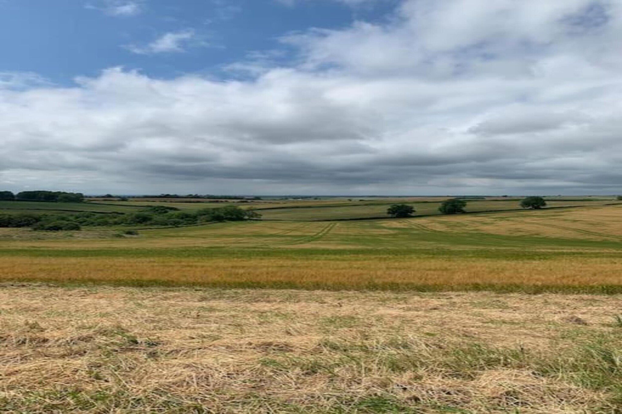 Longwool View-Zones d'été à 20 km