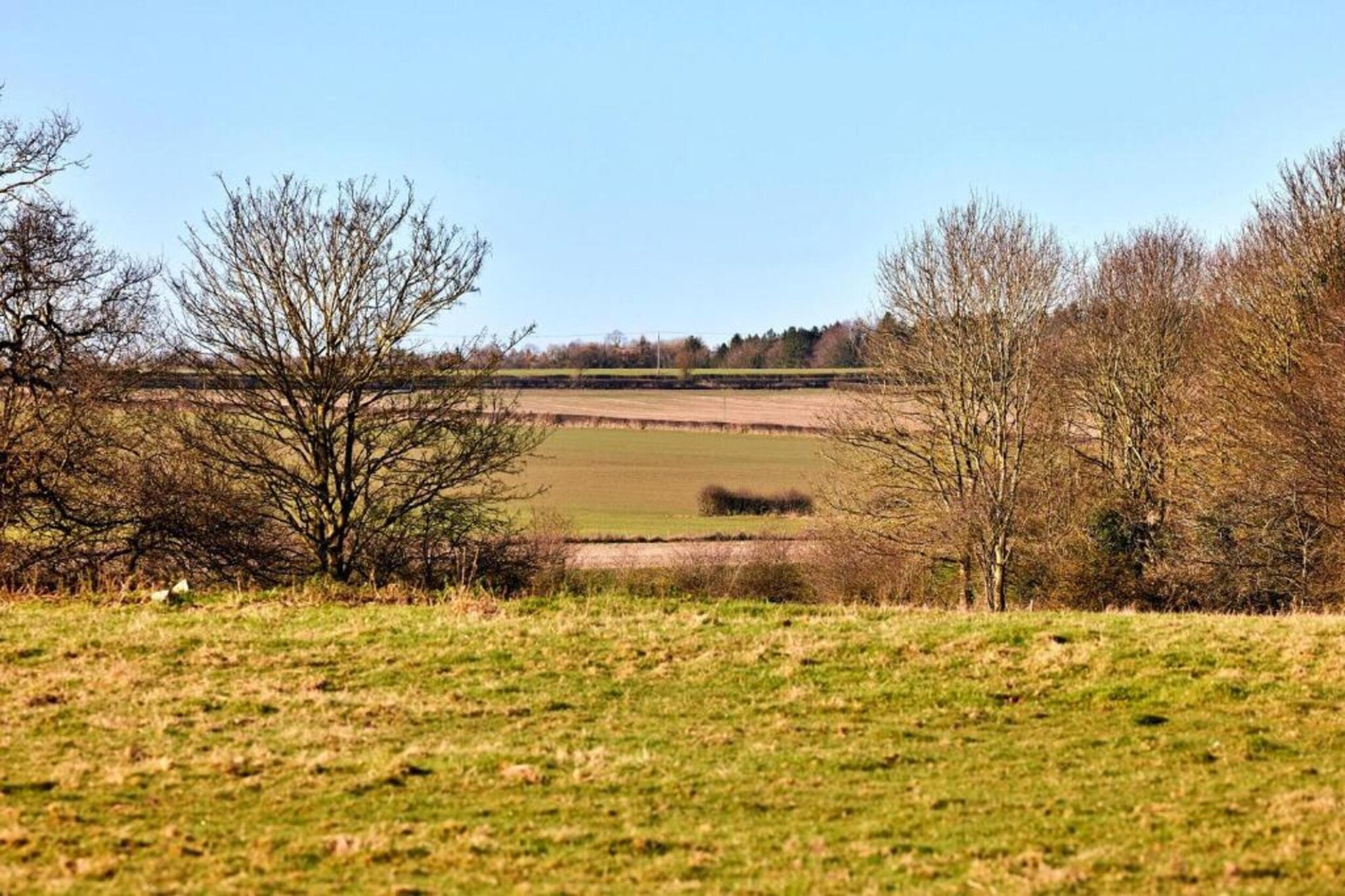 Longwool View-Zones d'été à 20 km