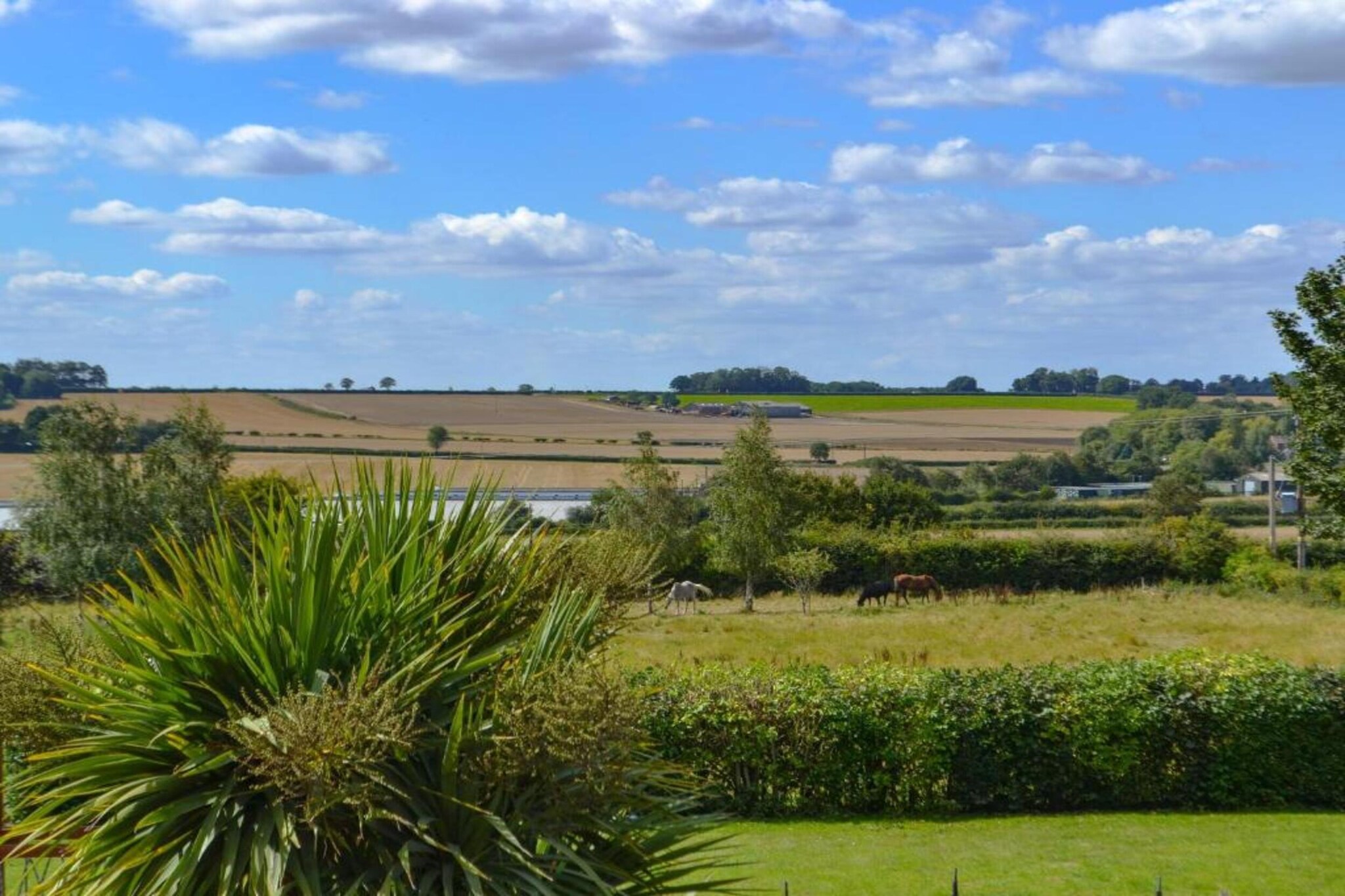 Longwool View-Zones d'été à 20 km