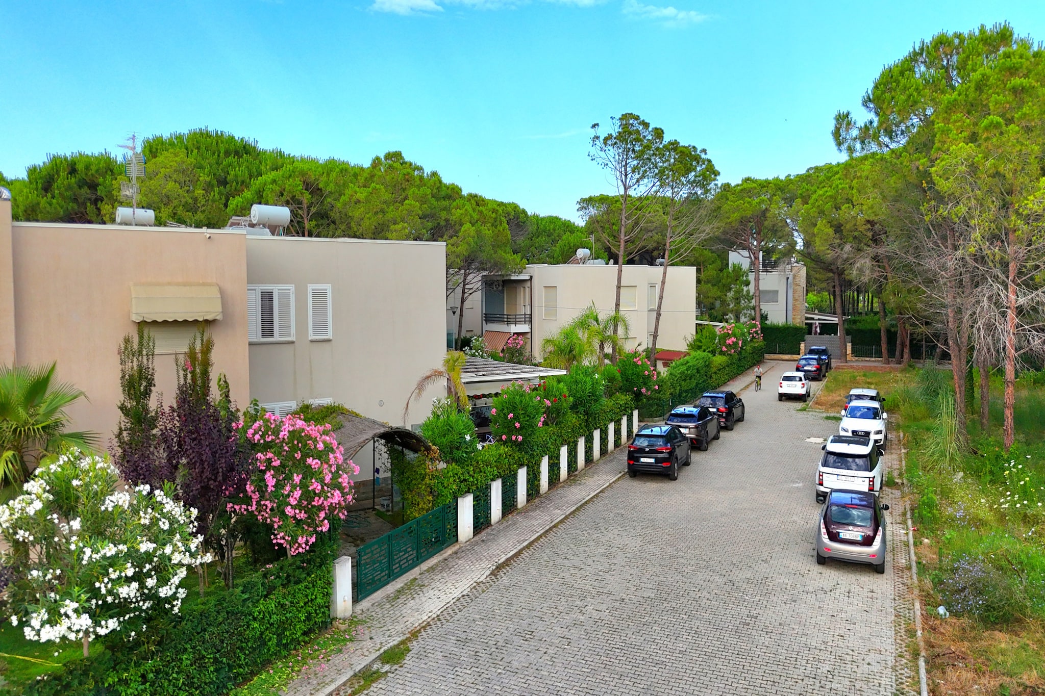 ALD256 - Siruani L3-Areas summer 1km