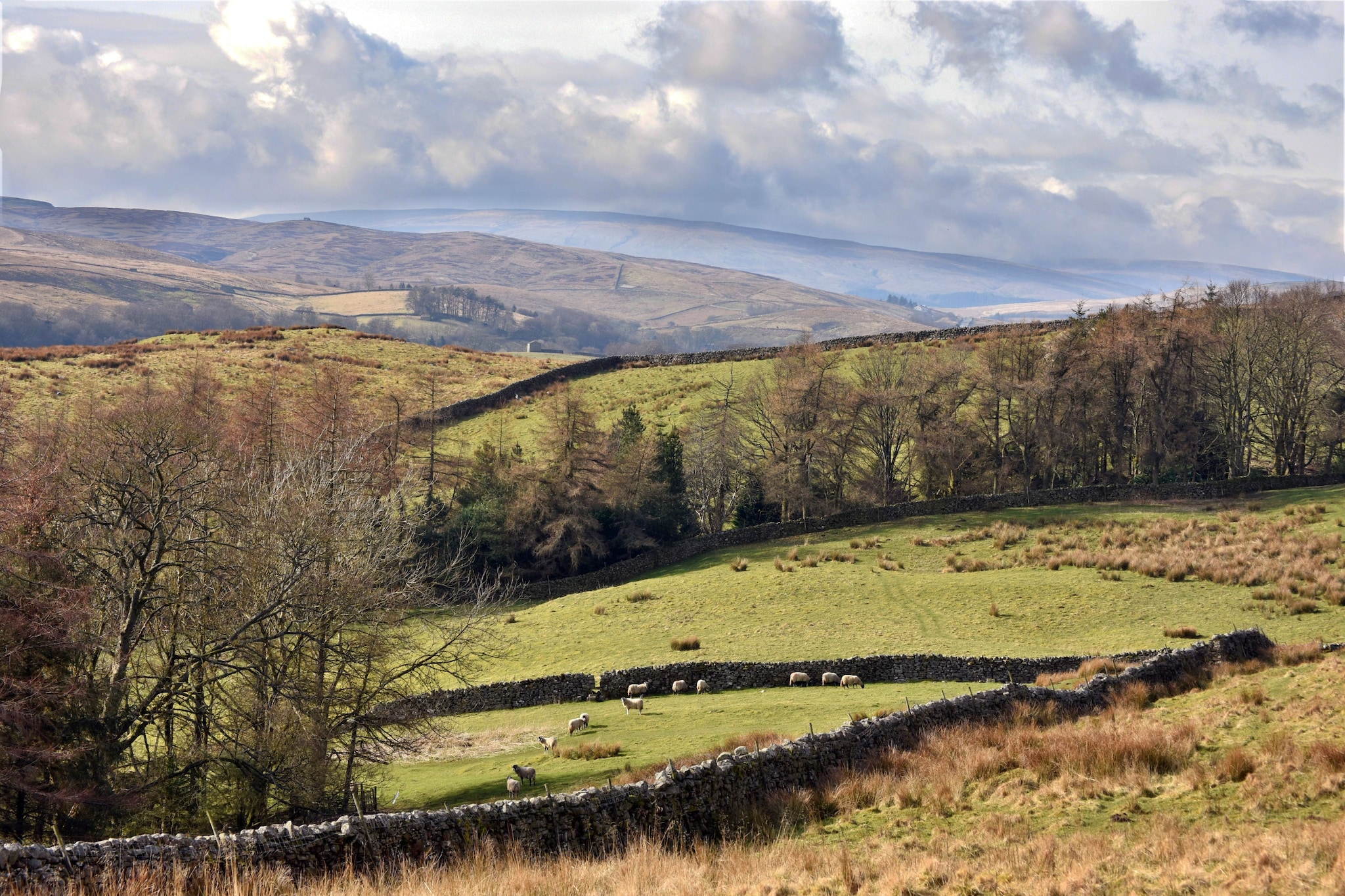 Dales Barn Top