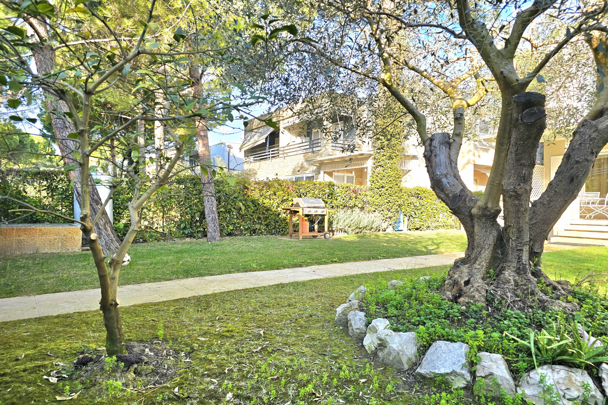 ALD127 - Albani-Gardens summer