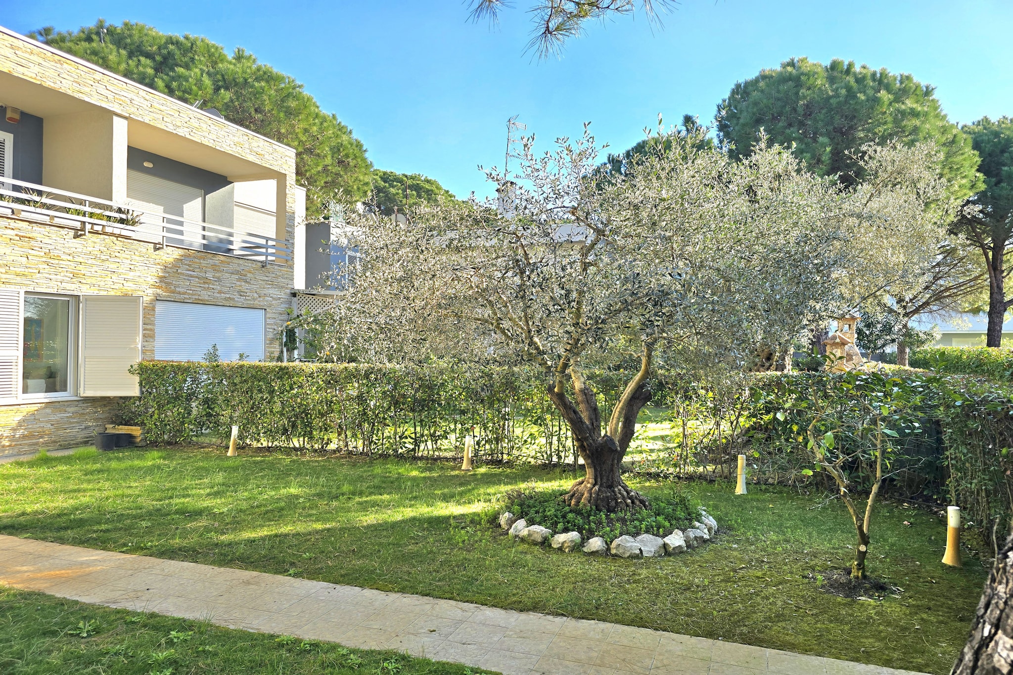 ALD127 - Albani-Gardens summer