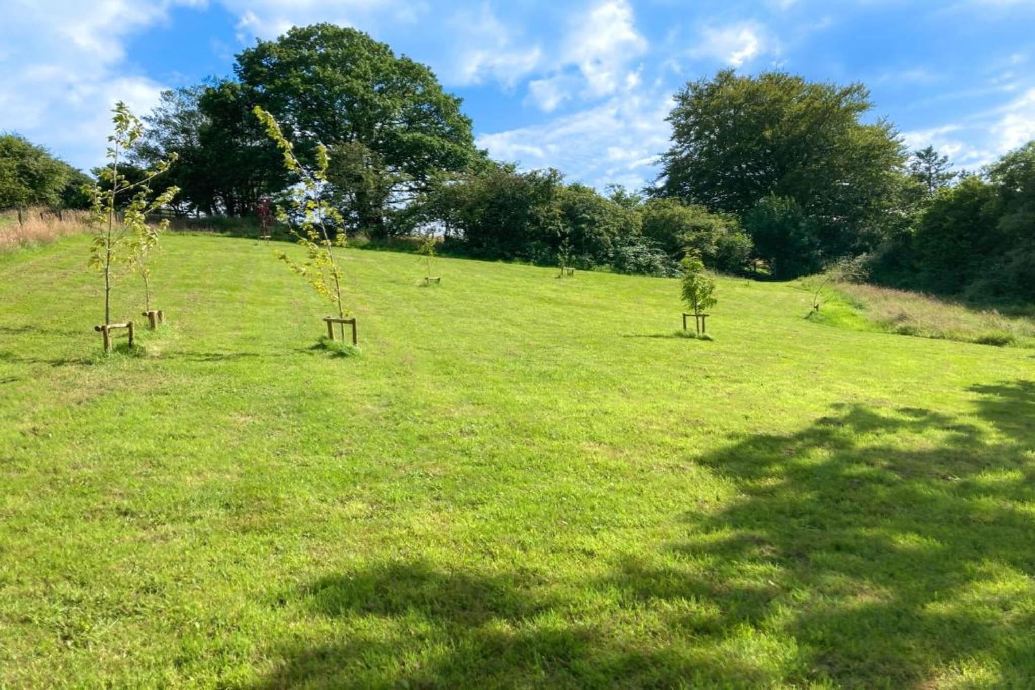 Hilltop Stable-Gebieden zomer 5km