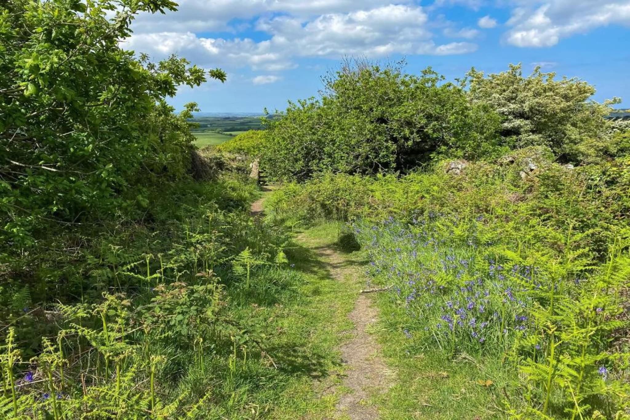 Hilltop Stable-Gebieden zomer 5km