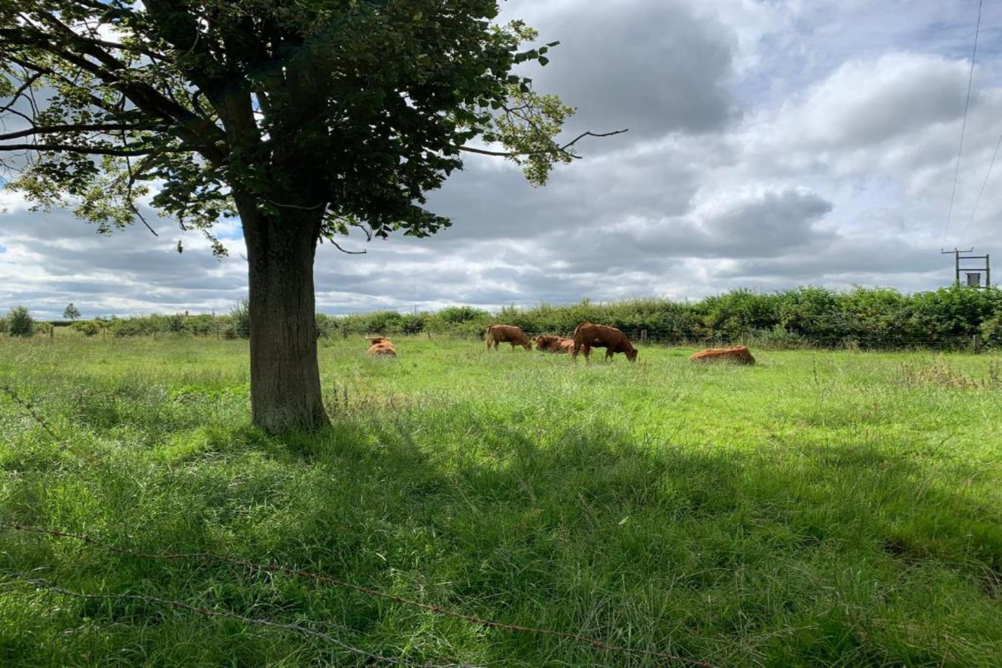 Hilltop Stable-Gebieden zomer 5km