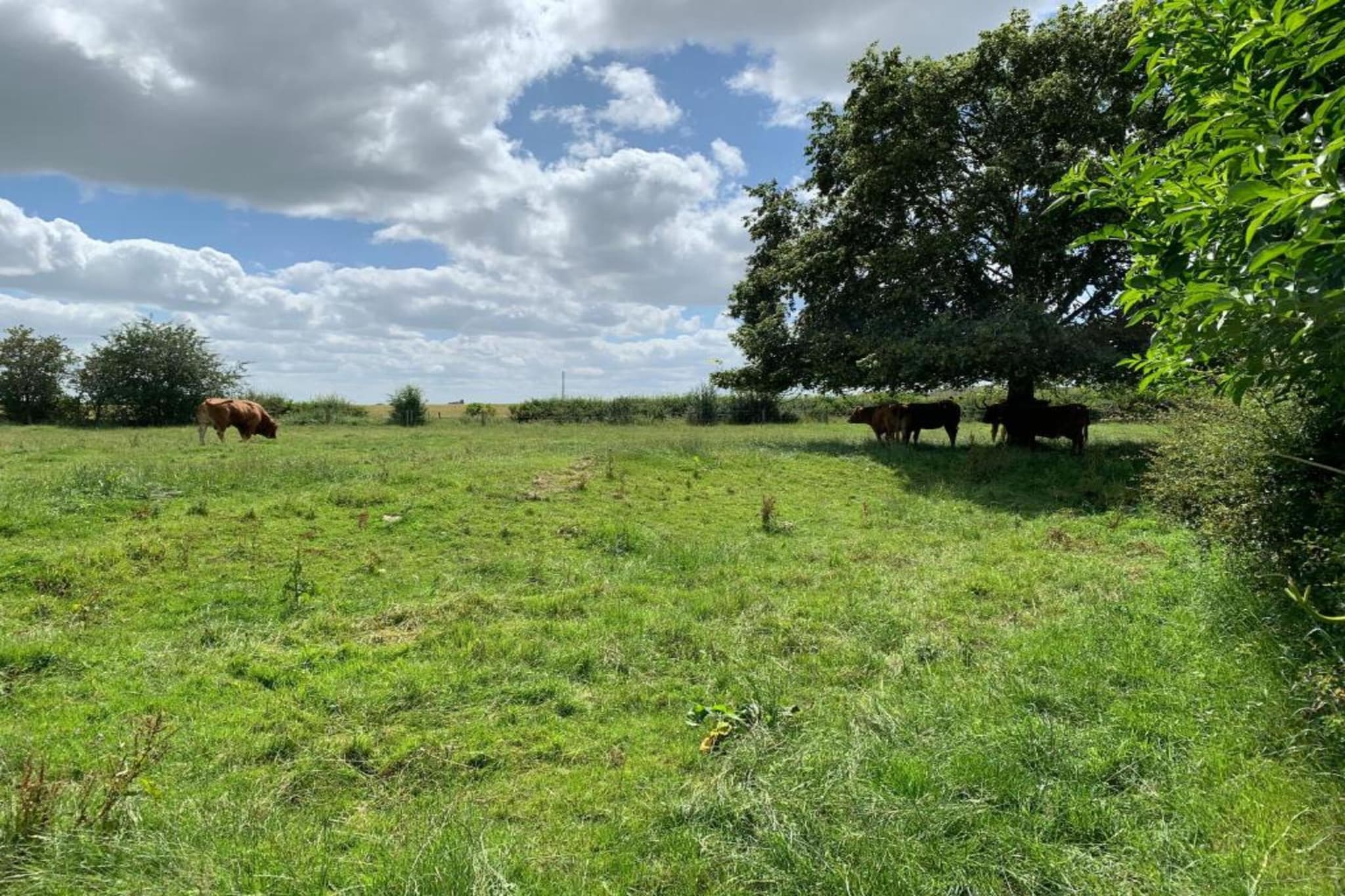 Hilltop Stable-Gebieden zomer 5km