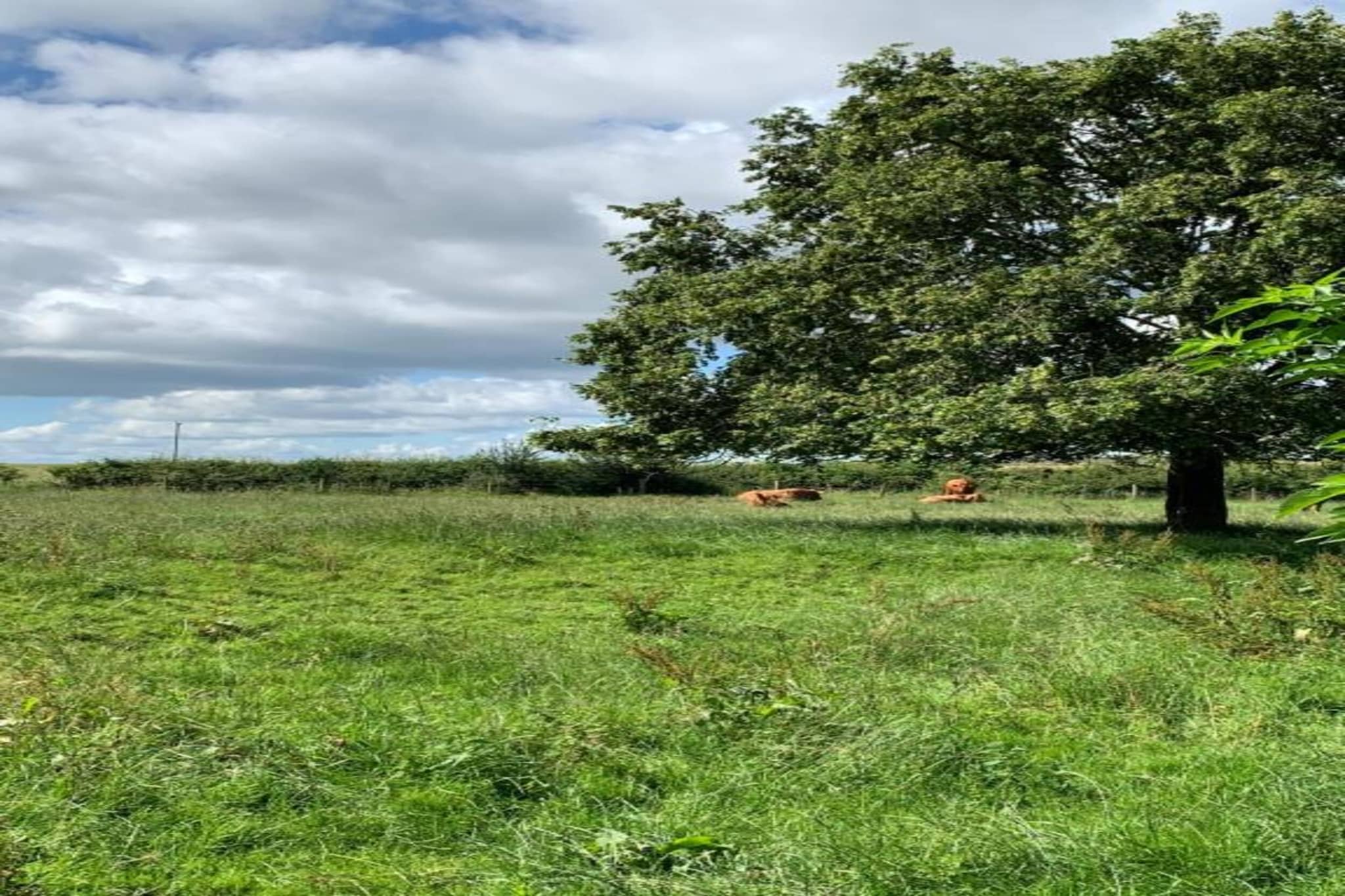 Hilltop Stable-Gebieden zomer 5km