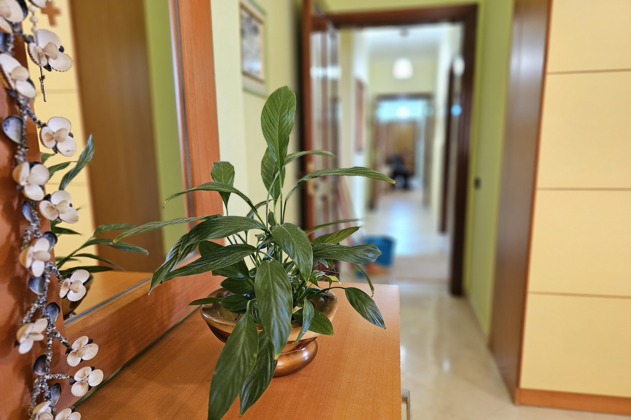 Geard Apartment-Sfeer