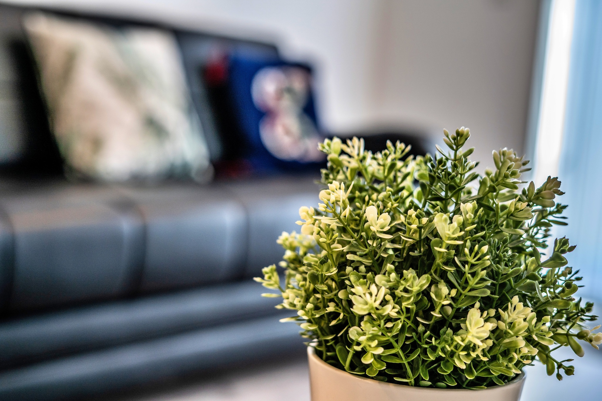 Aldridge Square-Woonkamer