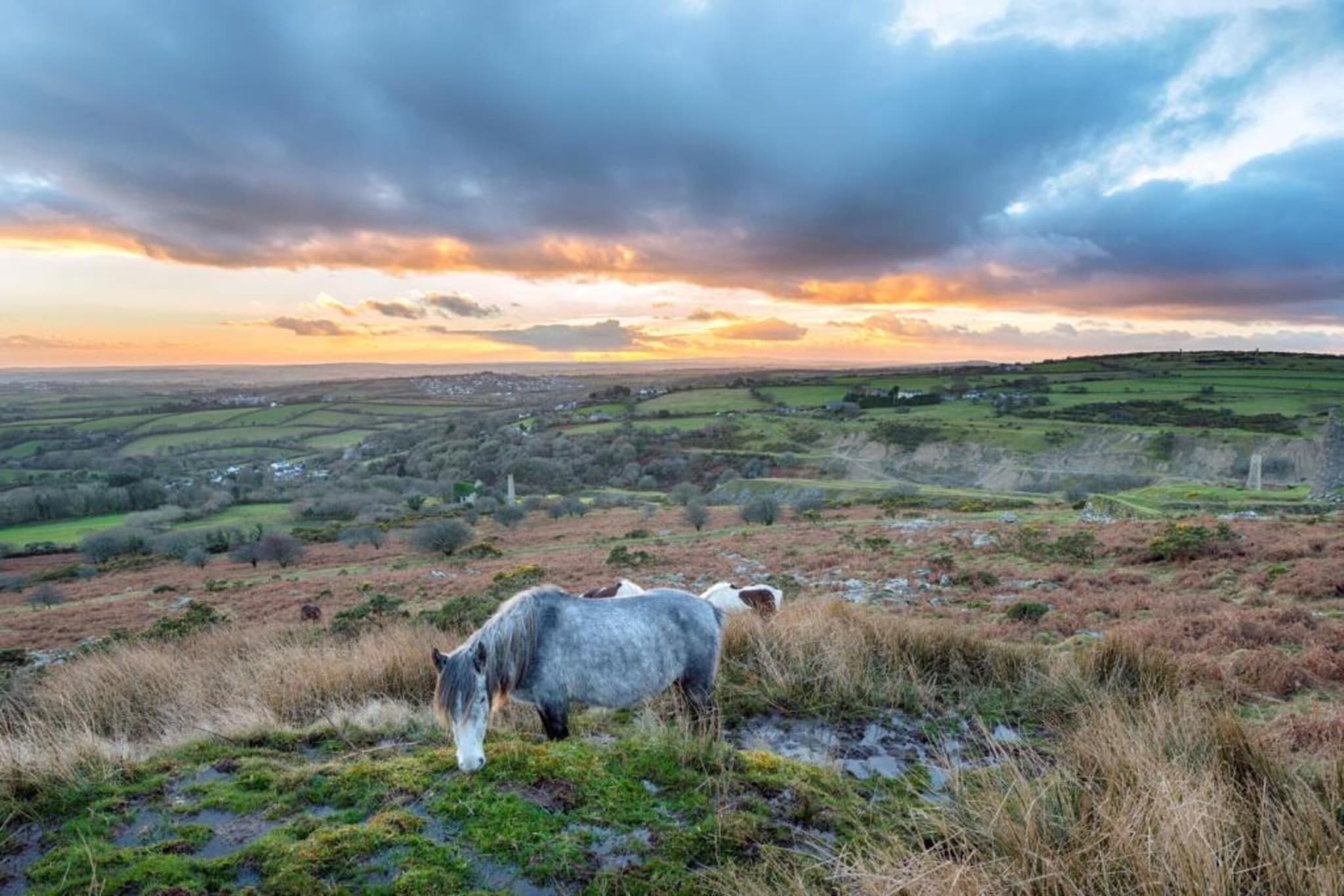 Jubilee Barn Cottage at Bodmin Moor-Gebieden zomer 5km