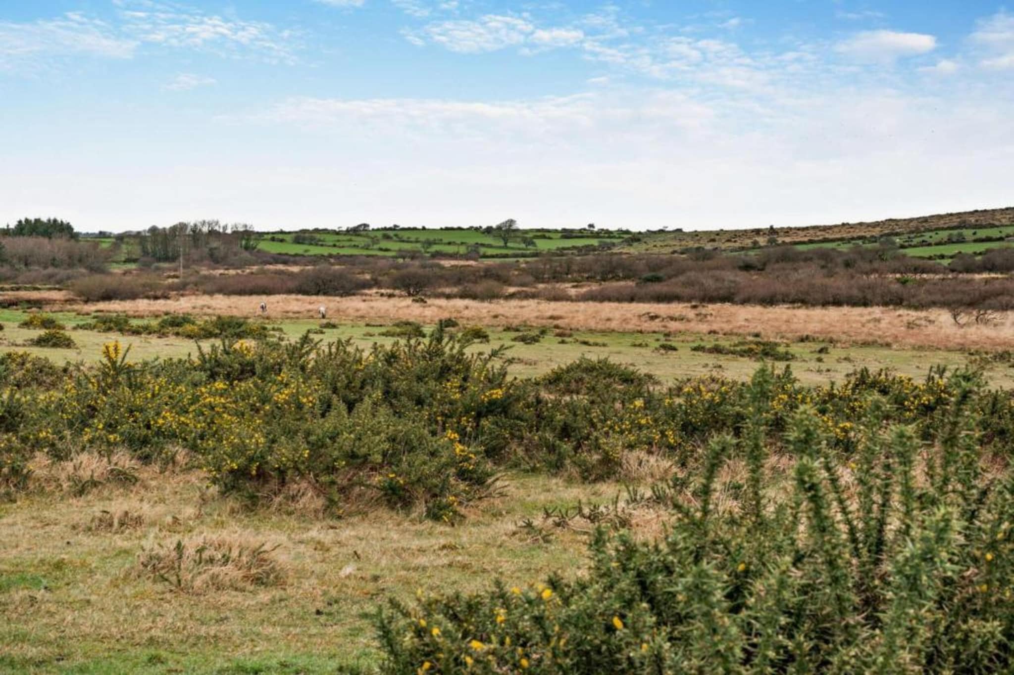 Jubilee Barn Cottage at Bodmin Moor-Gebieden zomer 5km