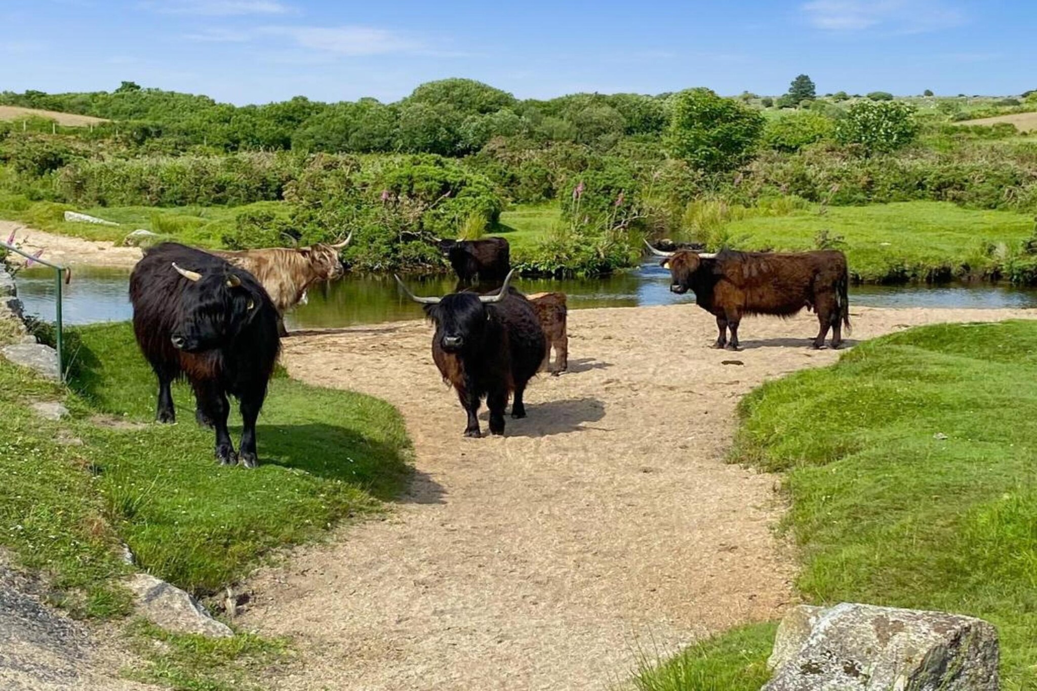 Jubilee Barn Cottage at Bodmin Moor-Gebieden zomer 5km