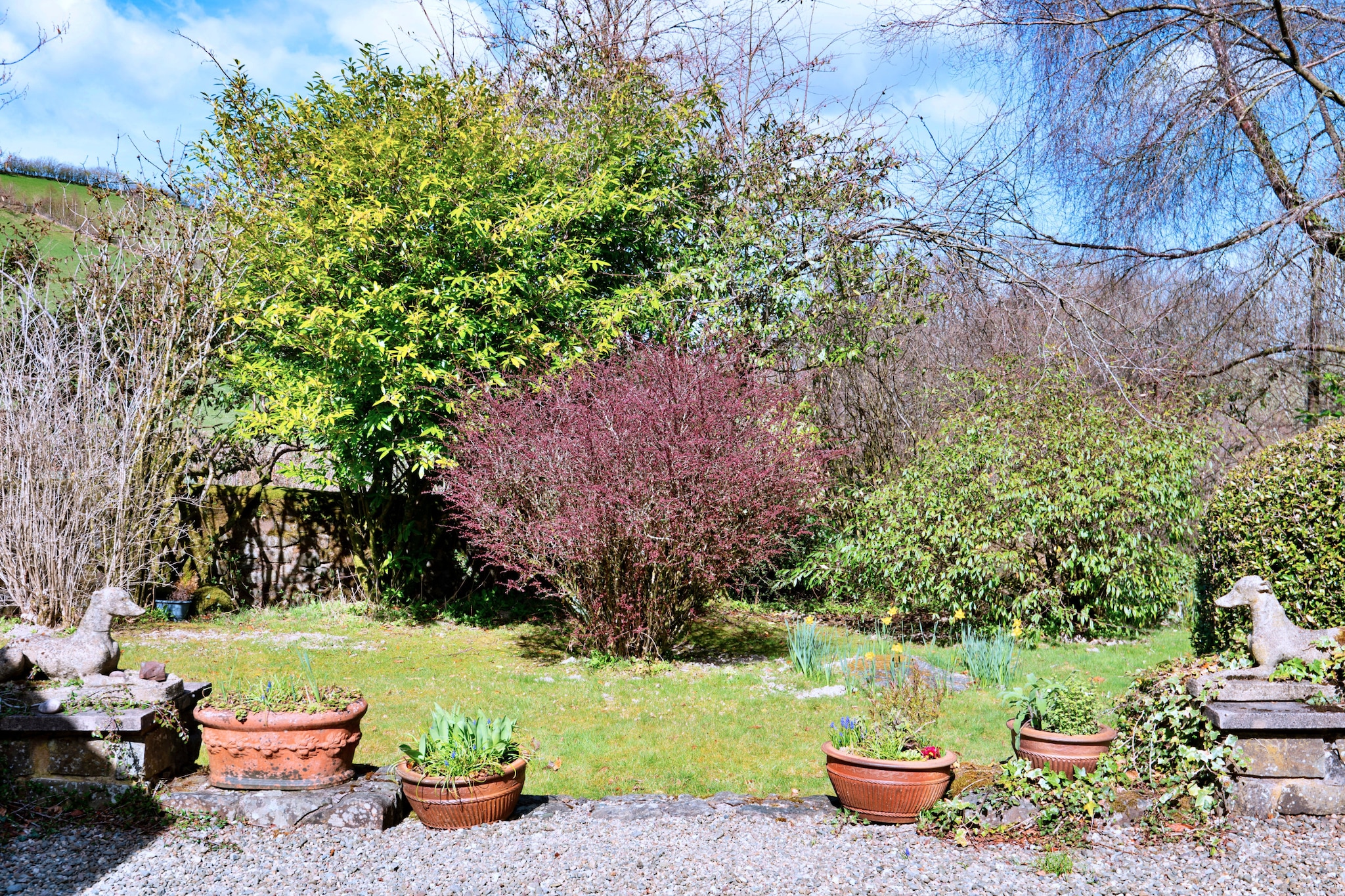 Cwmfron House-Niet-getagd