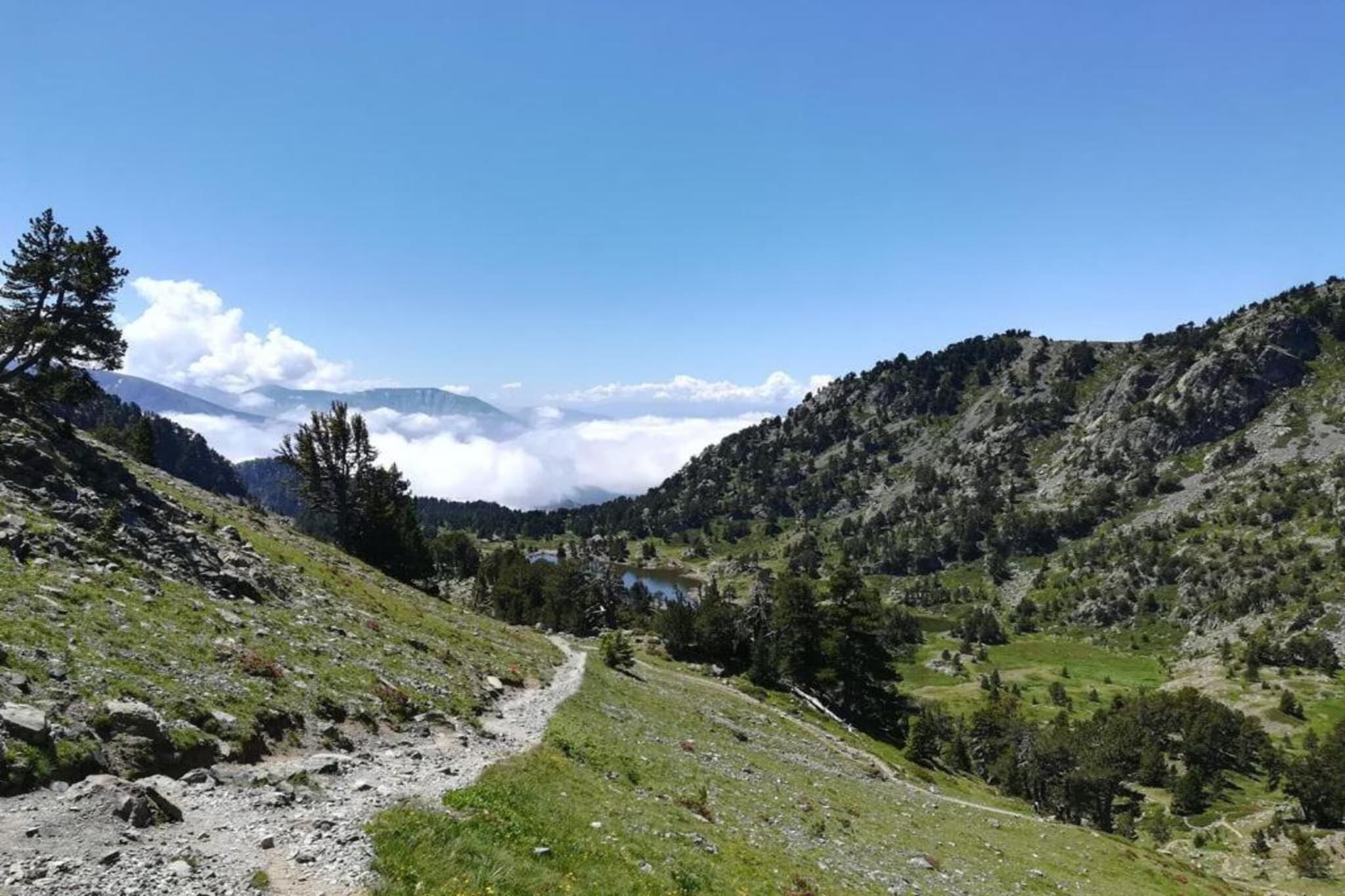 Le Vernon N°1021 - ST4-Gebieden zomer 5km