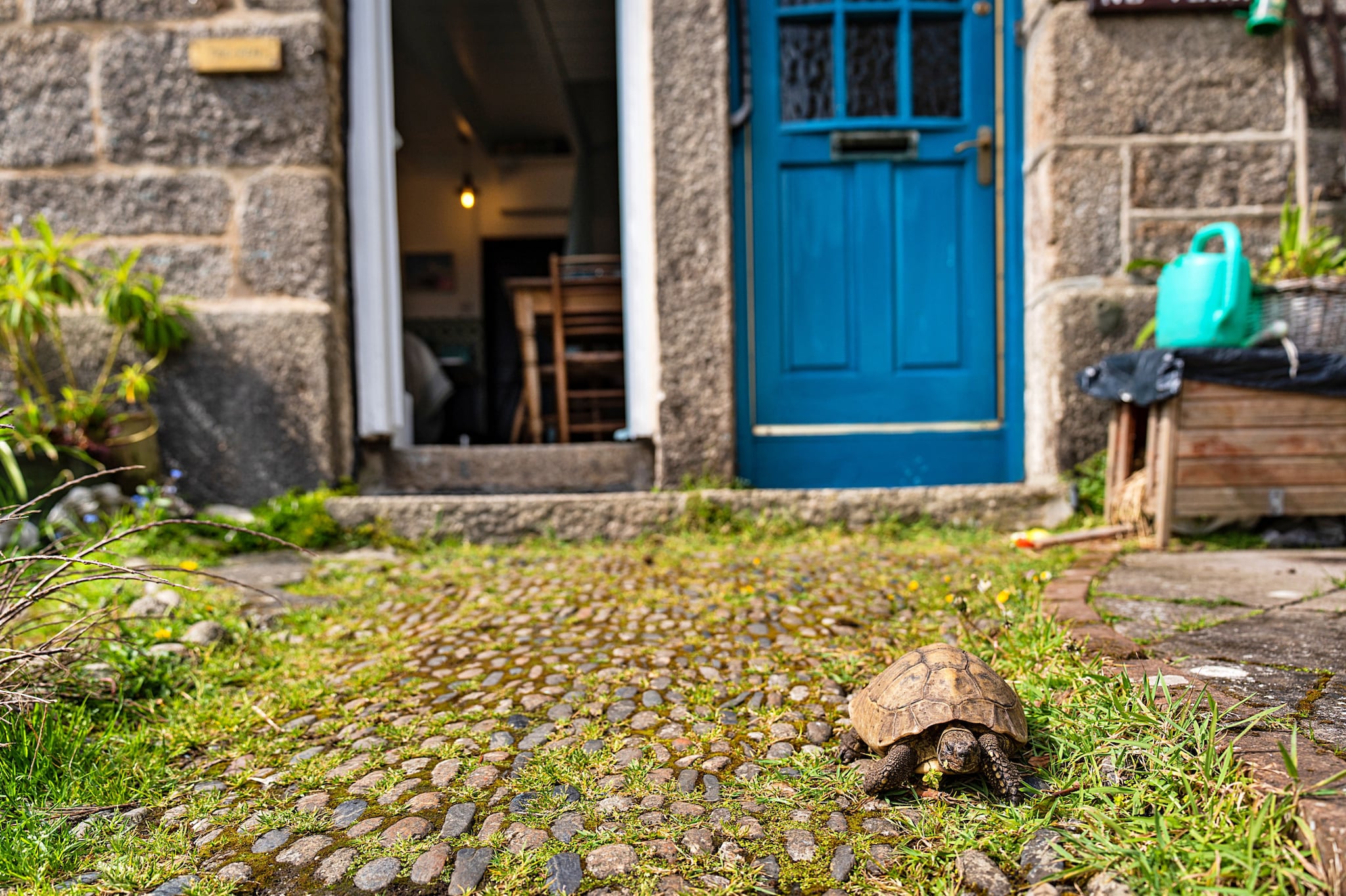 Cosy Mousehole Cottage with Sea Views-Tuinen zomer