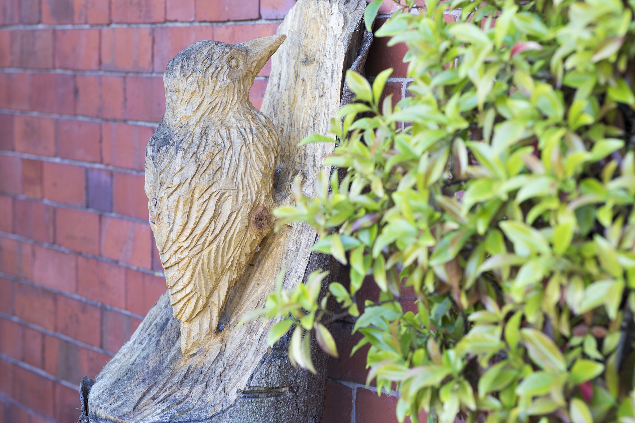 Woodpecker Cottage