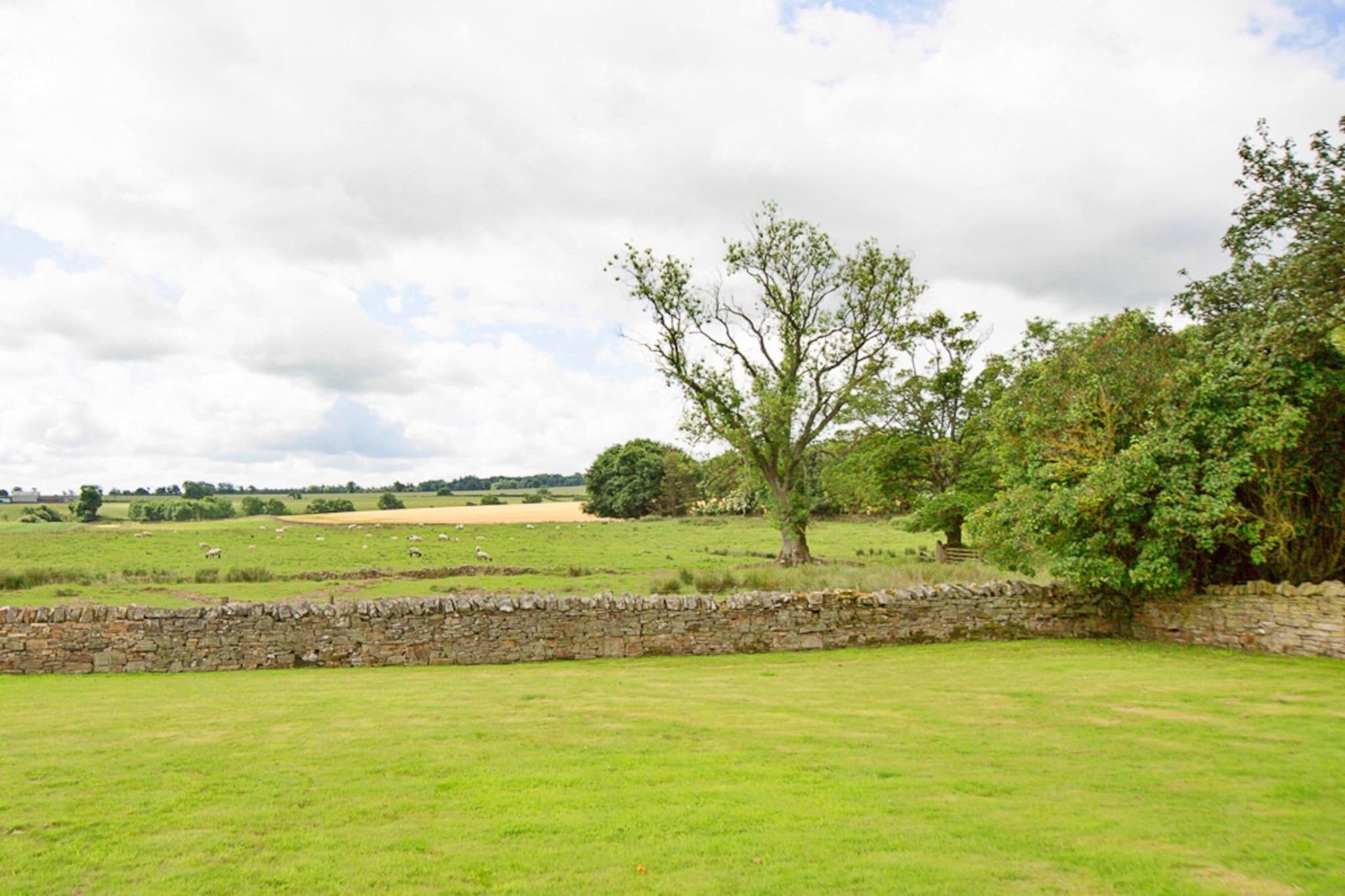 The Cottage, Shortflatt Farm-Tuinen zomer