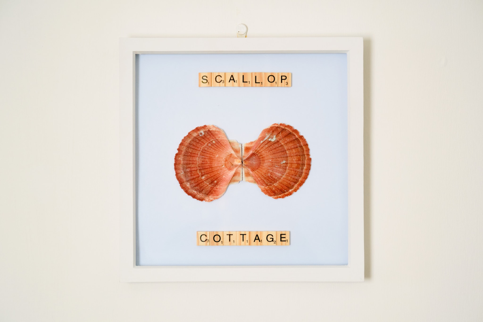 Scallop Cottage-Sfeer
