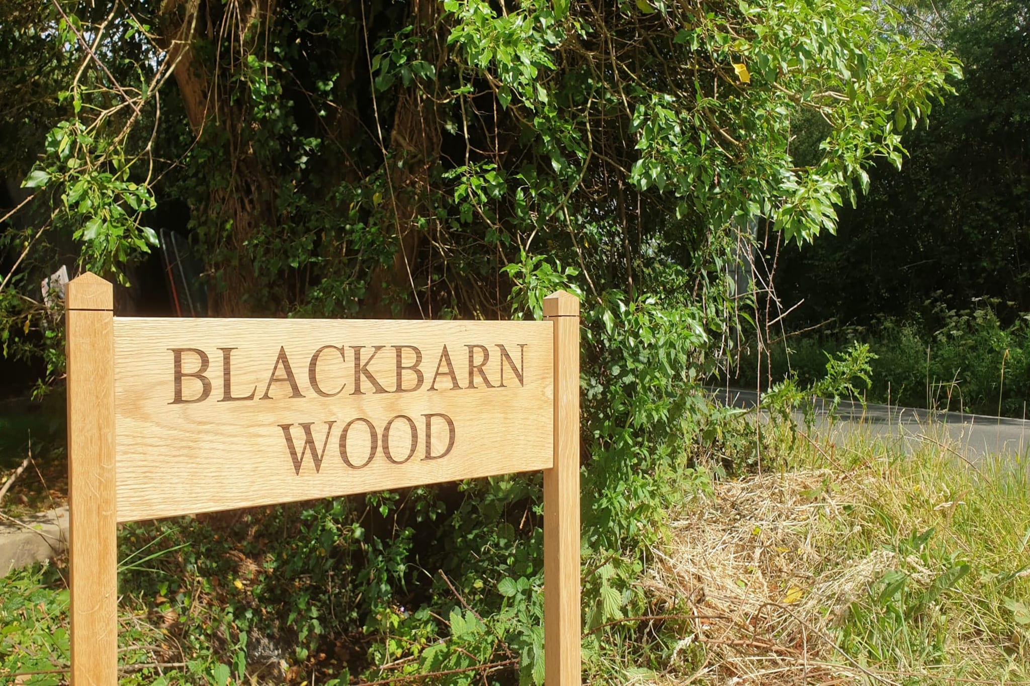 Blackbarn Wood-Buitenlucht