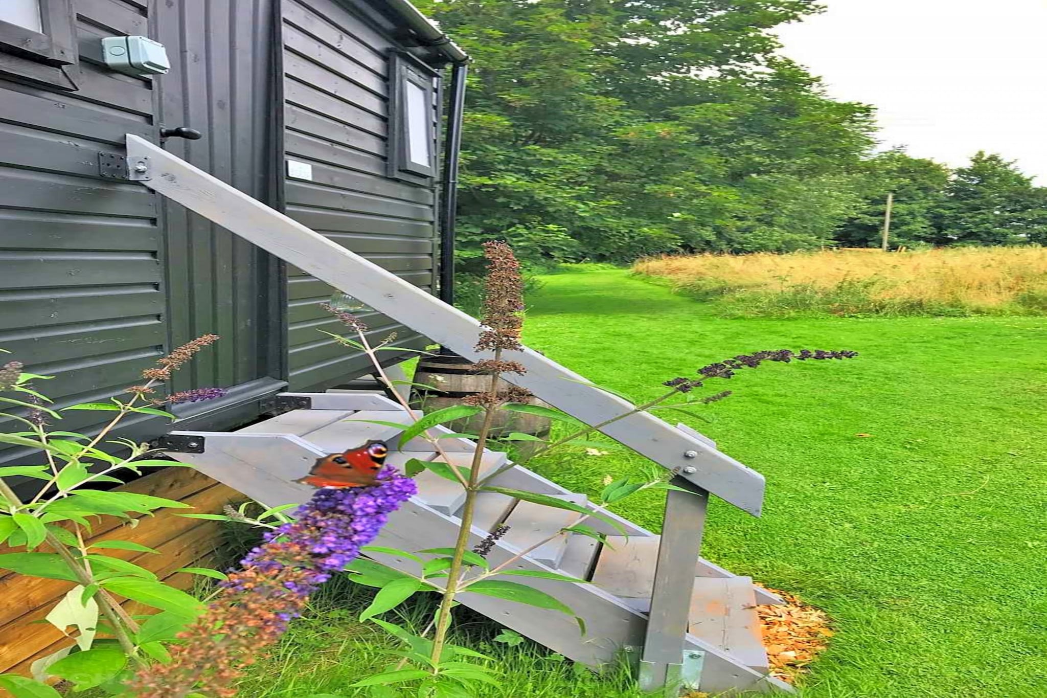 Lilypad Bell Tent-Niet-getagd