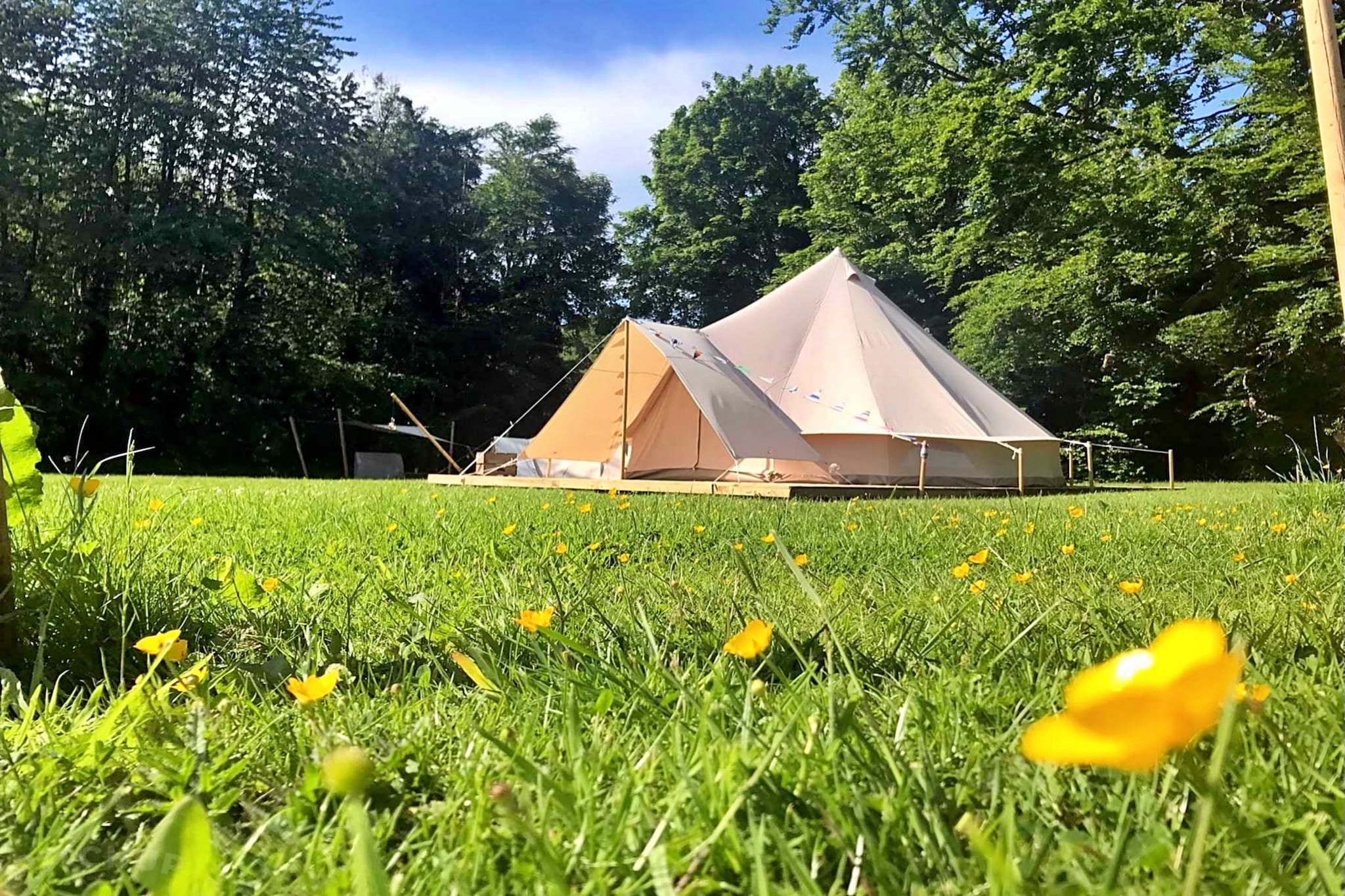 Lilypad Bell Tent-Buitenlucht