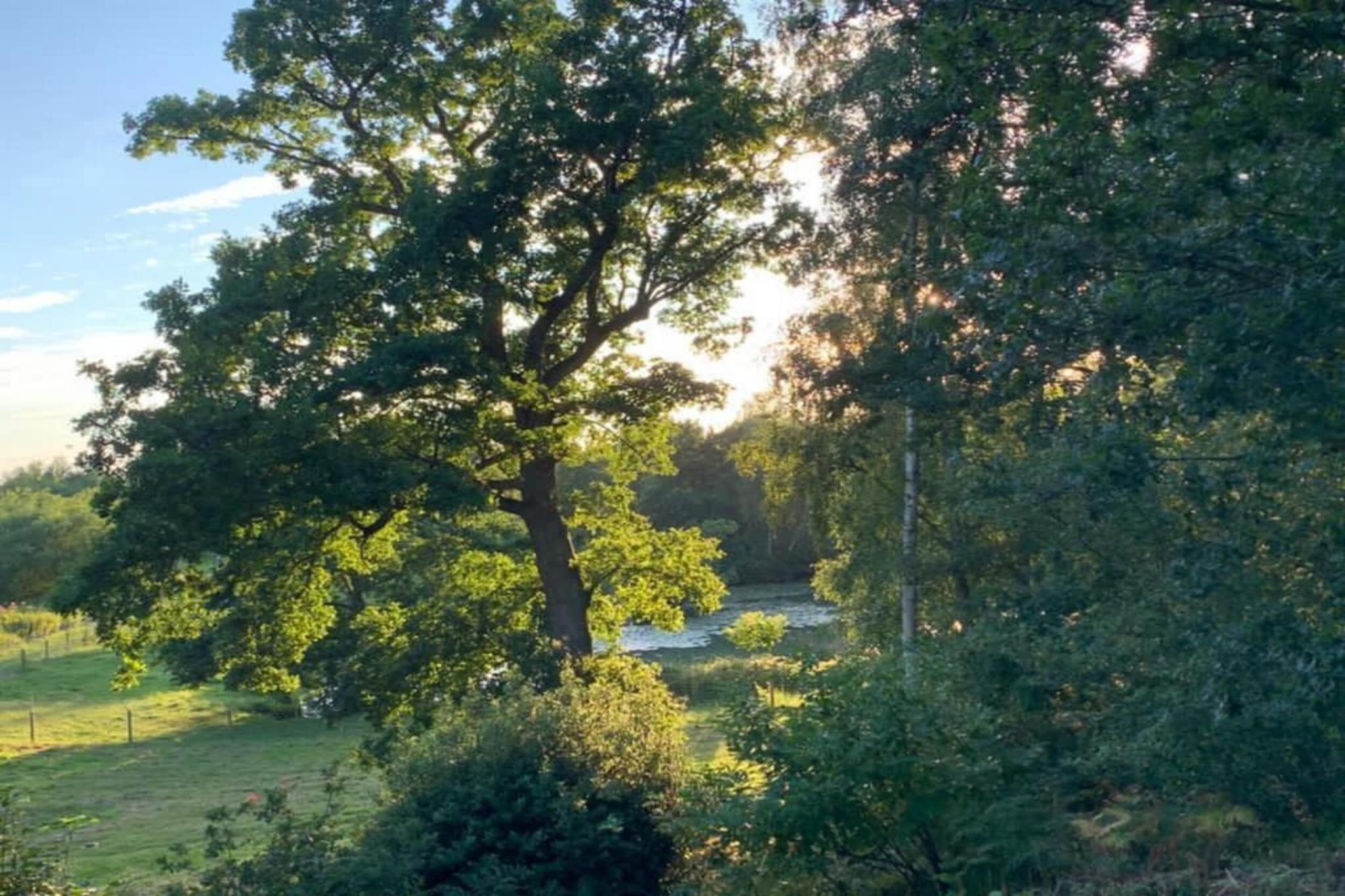 Lilypad Bell Tent-Gebiete Sommer 20 km