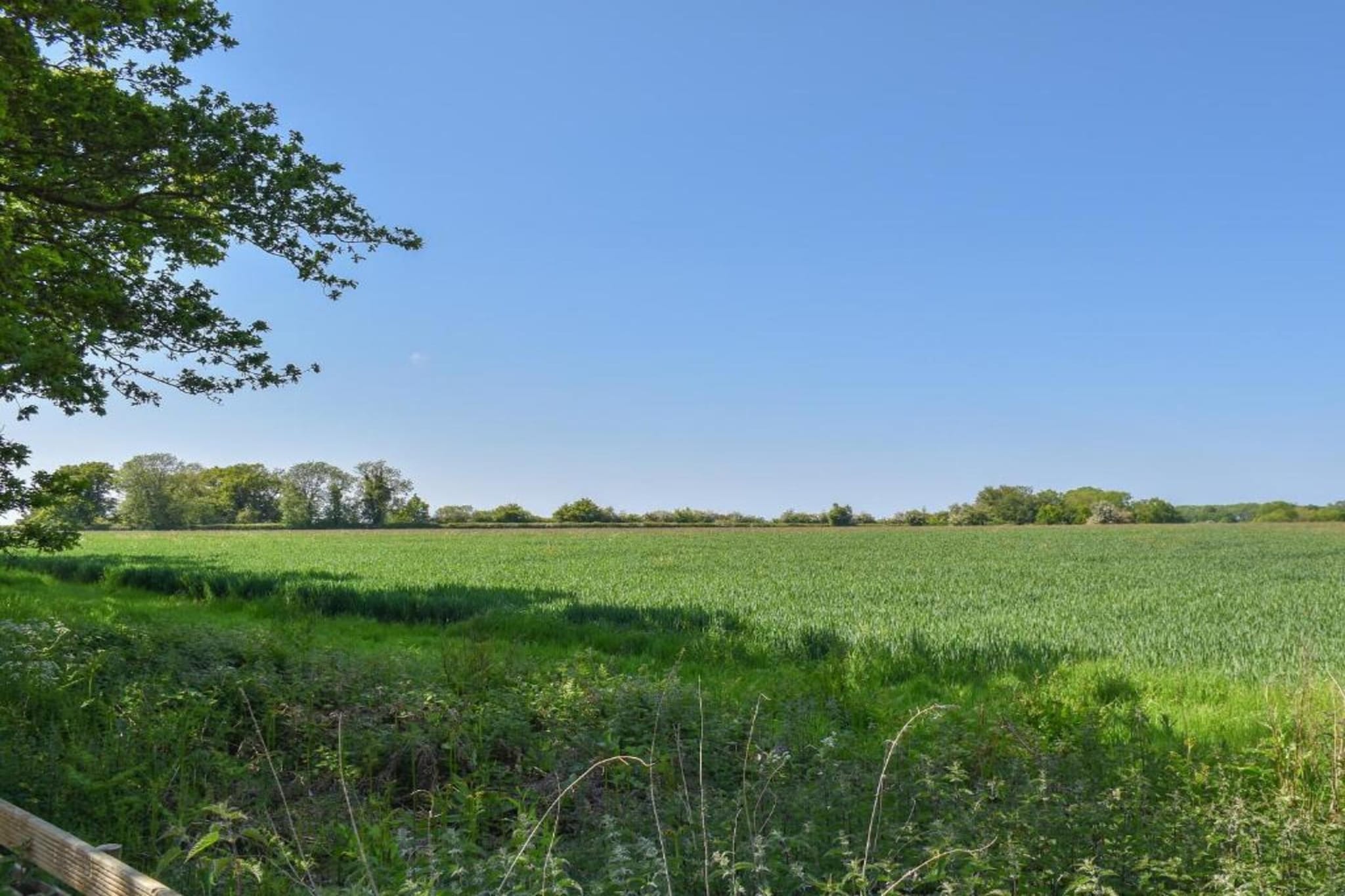Iris Bell Tent-Gebiete Sommer 20 km
