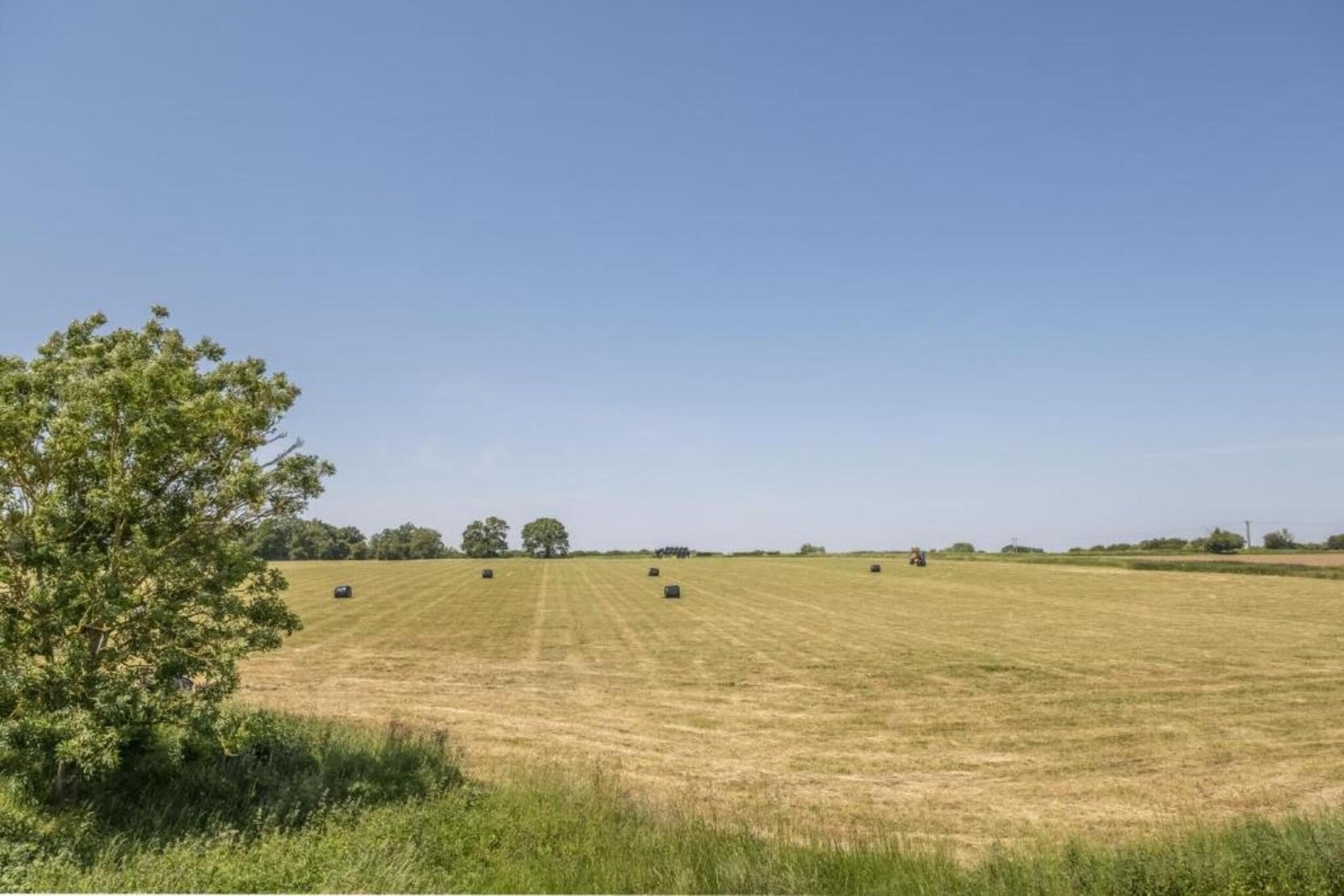 Bulrush Bell Tent-Gebiete Sommer 5 km