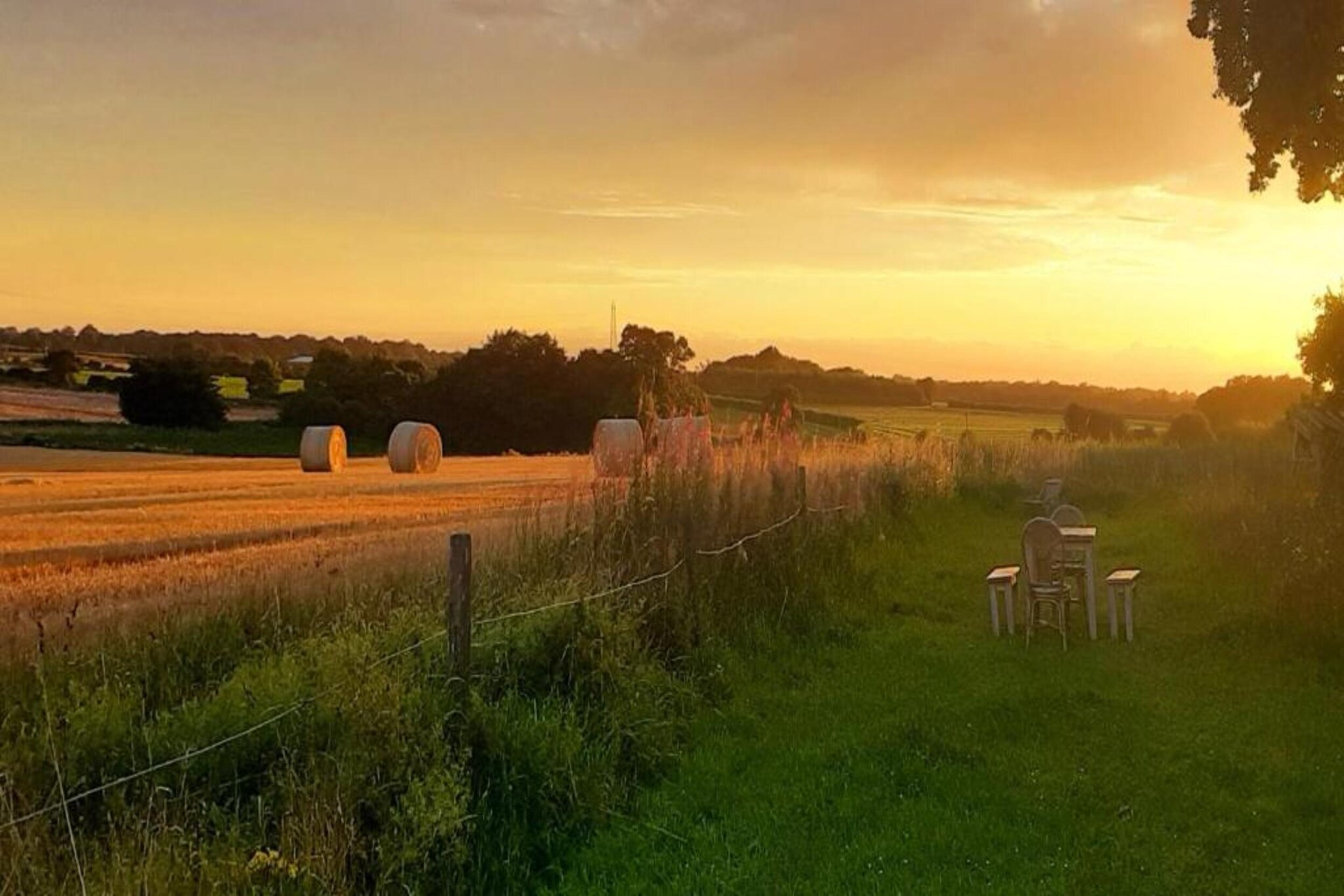 Bulrush Bell Tent-Gebiete Sommer 5 km