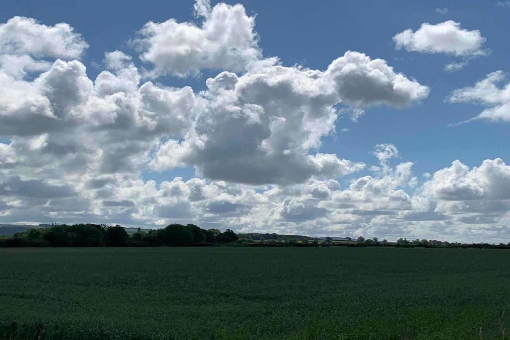 Hundle Dale-Gebieden zomer 5km