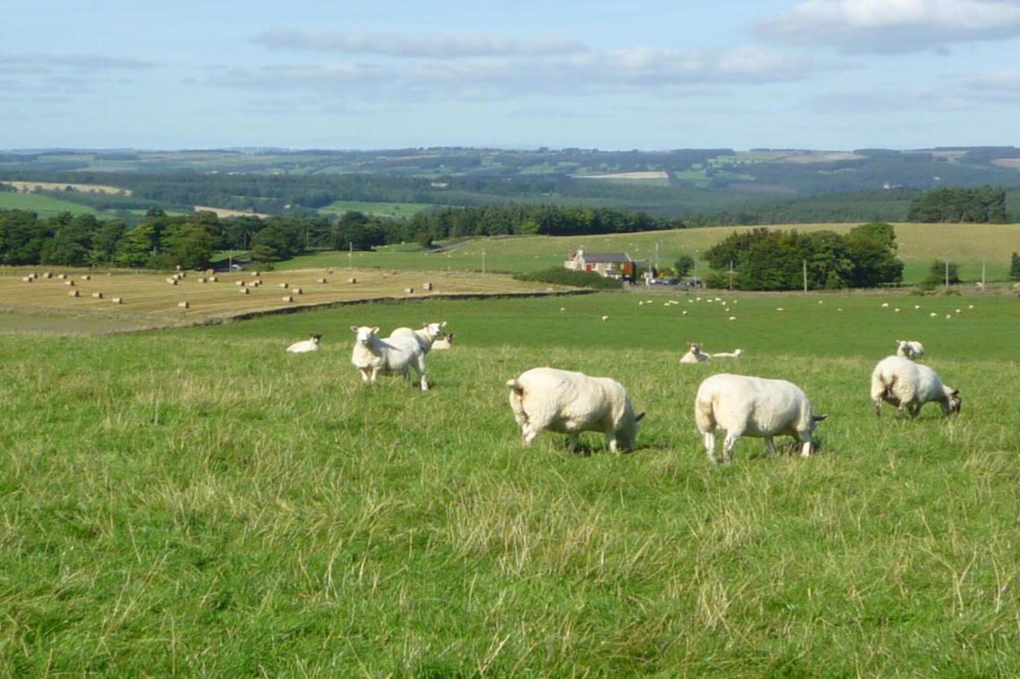 Blackcleugh Glamping-Areas summer 5km