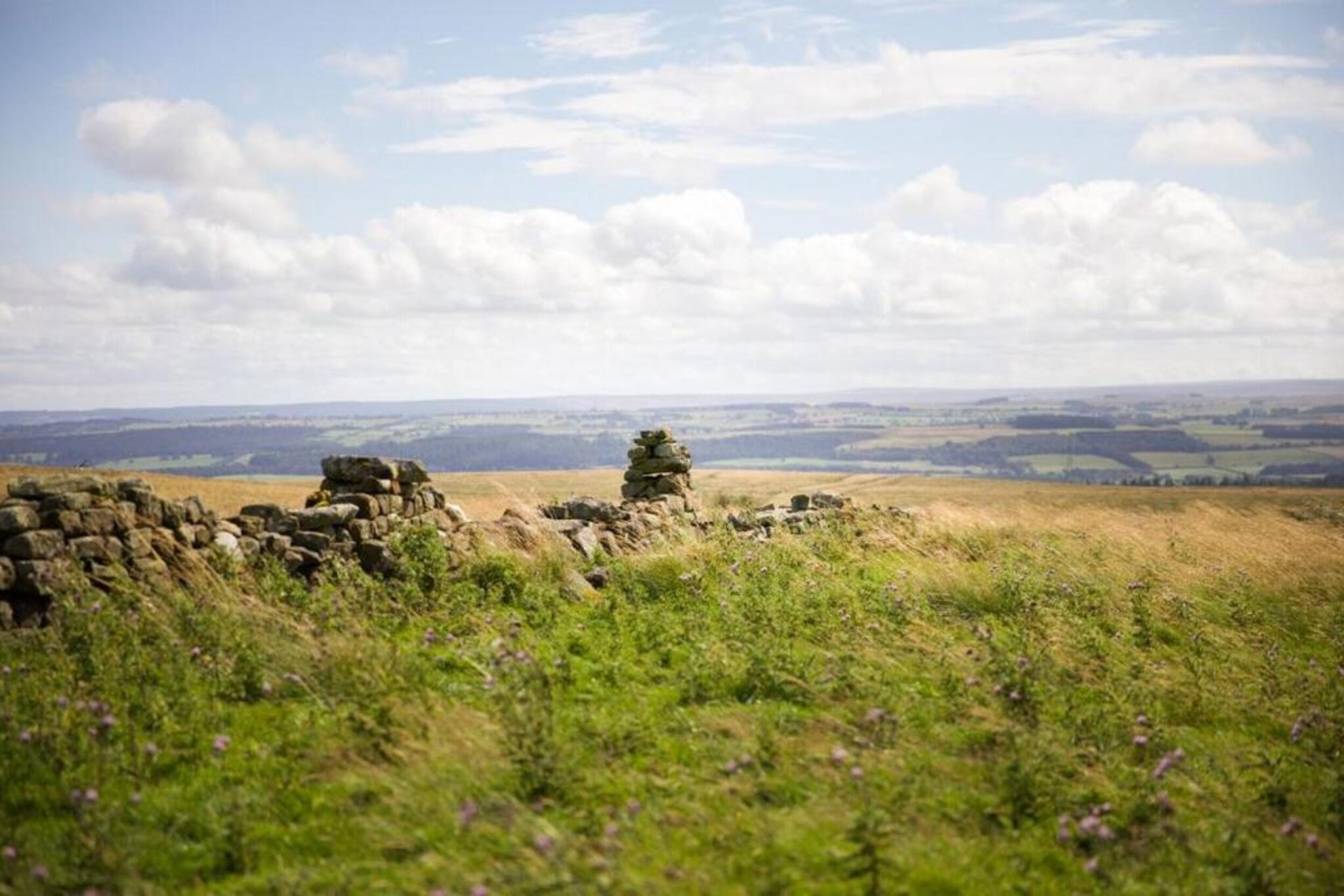 Blackcleugh Glamping-Areas summer 5km