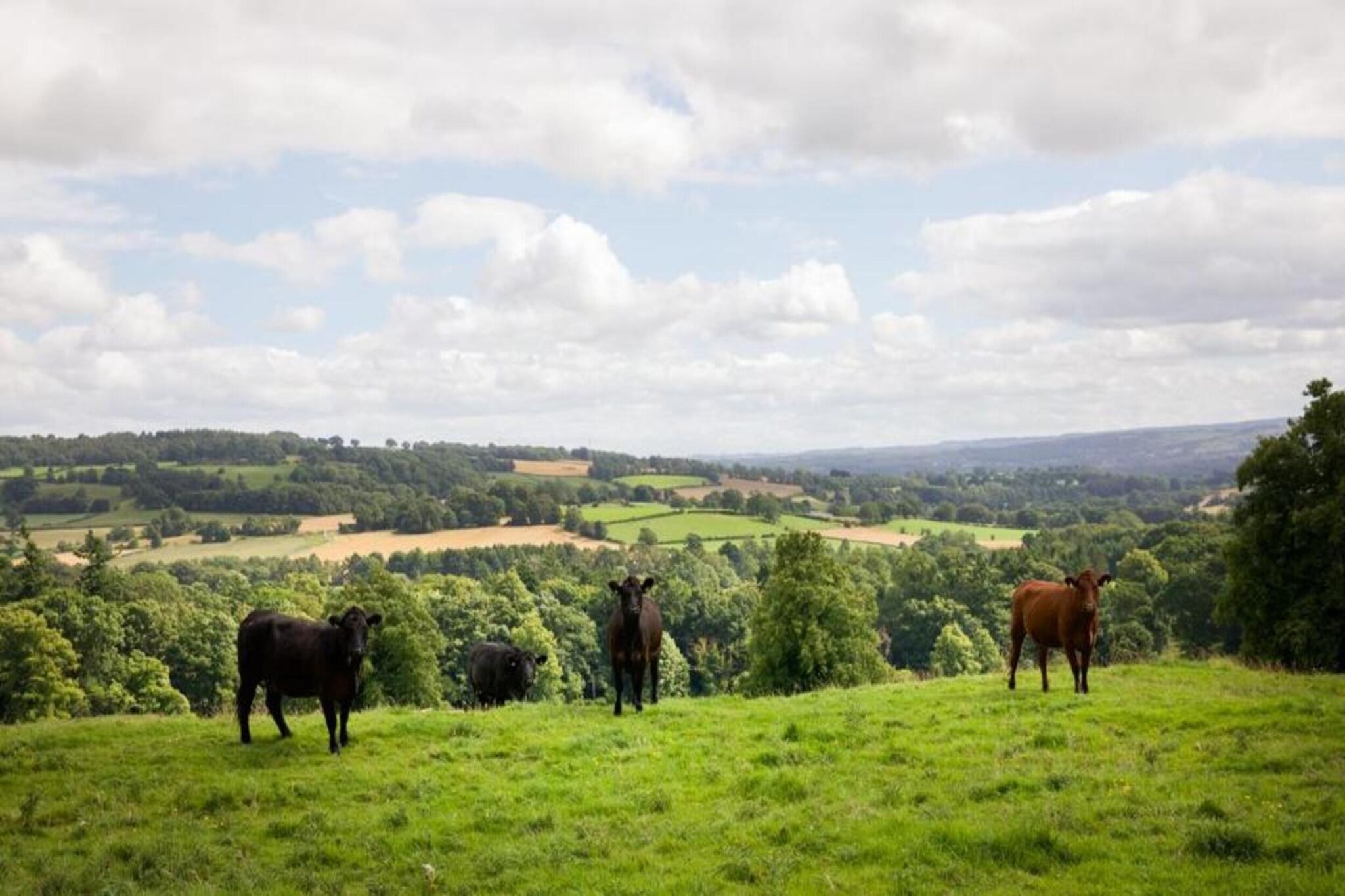 Blackcleugh Glamping-Areas summer 5km