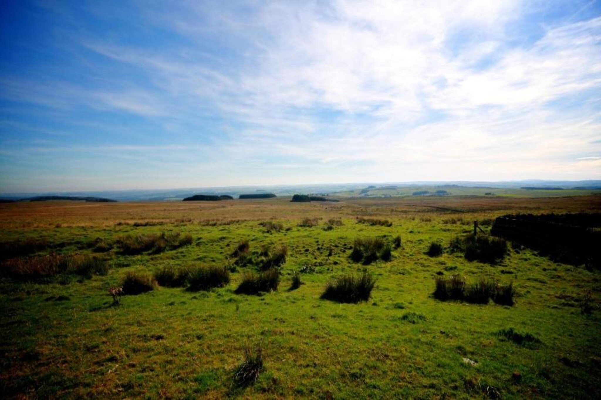 Blackcleugh Glamping-Areas summer 5km