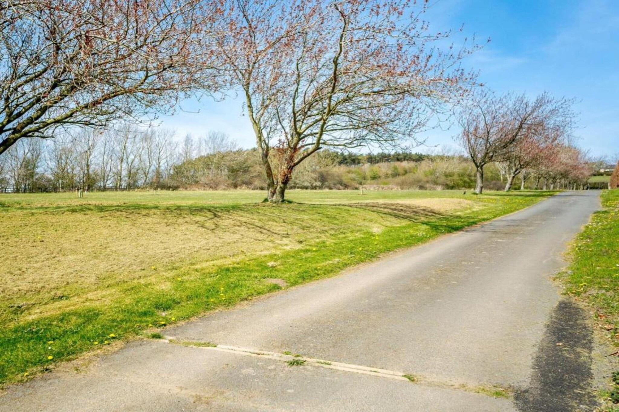Blackcleugh Glamping-Areas summer 5km