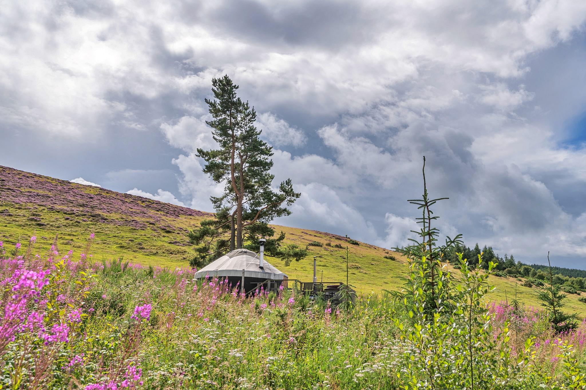 Bramble Yurt-Buitenlucht
