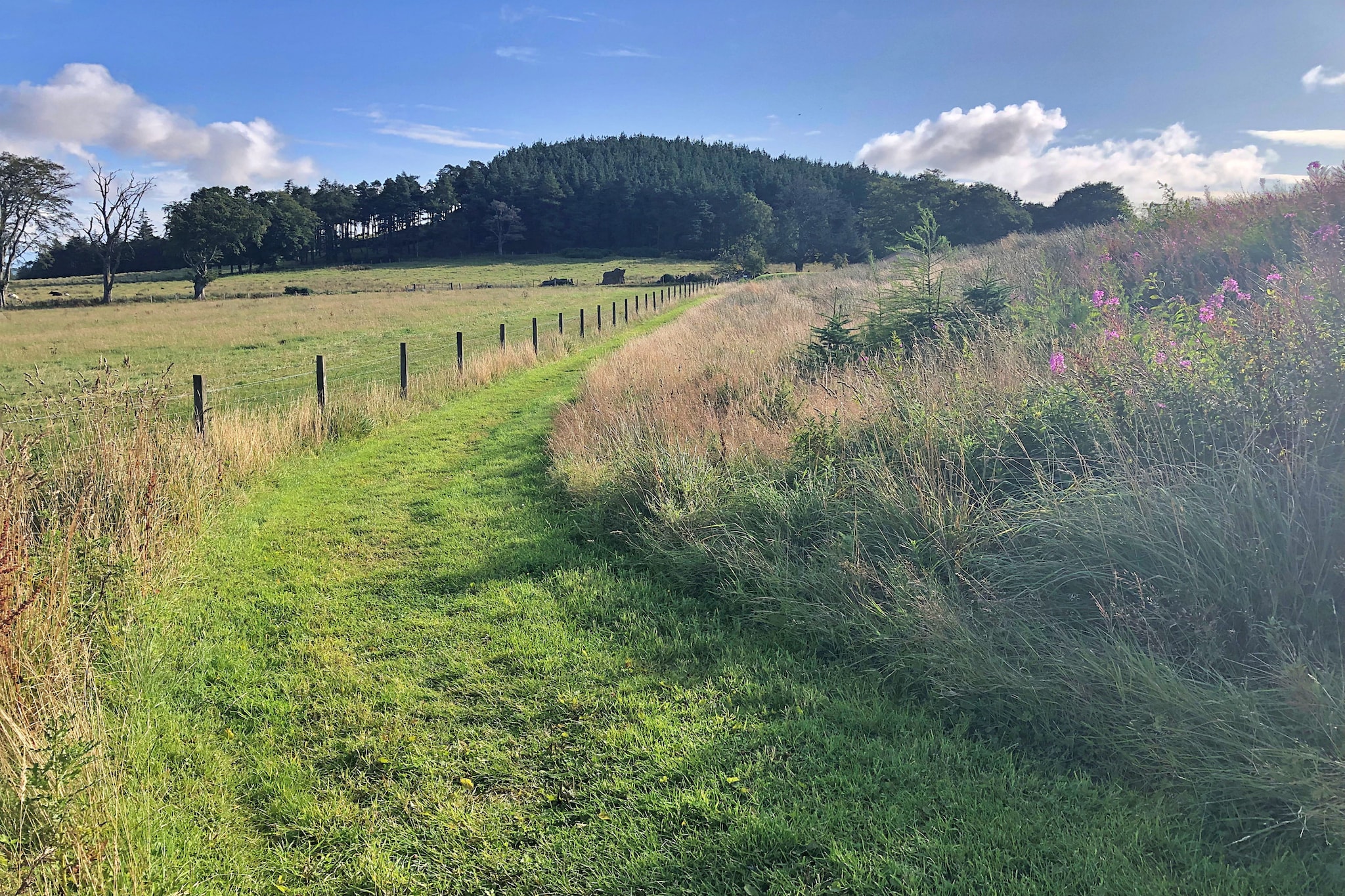 Bramble Yurt-Buitenlucht