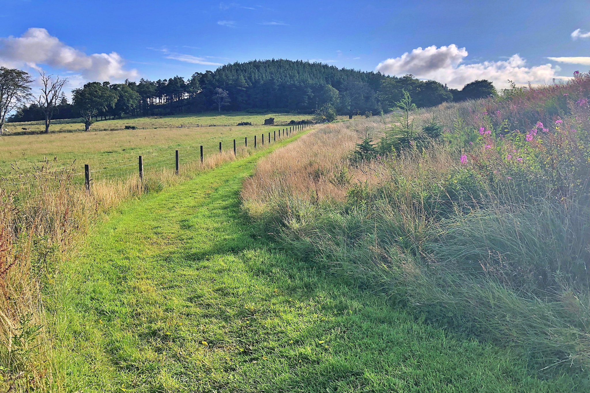 Heather Yurt-Buitenlucht