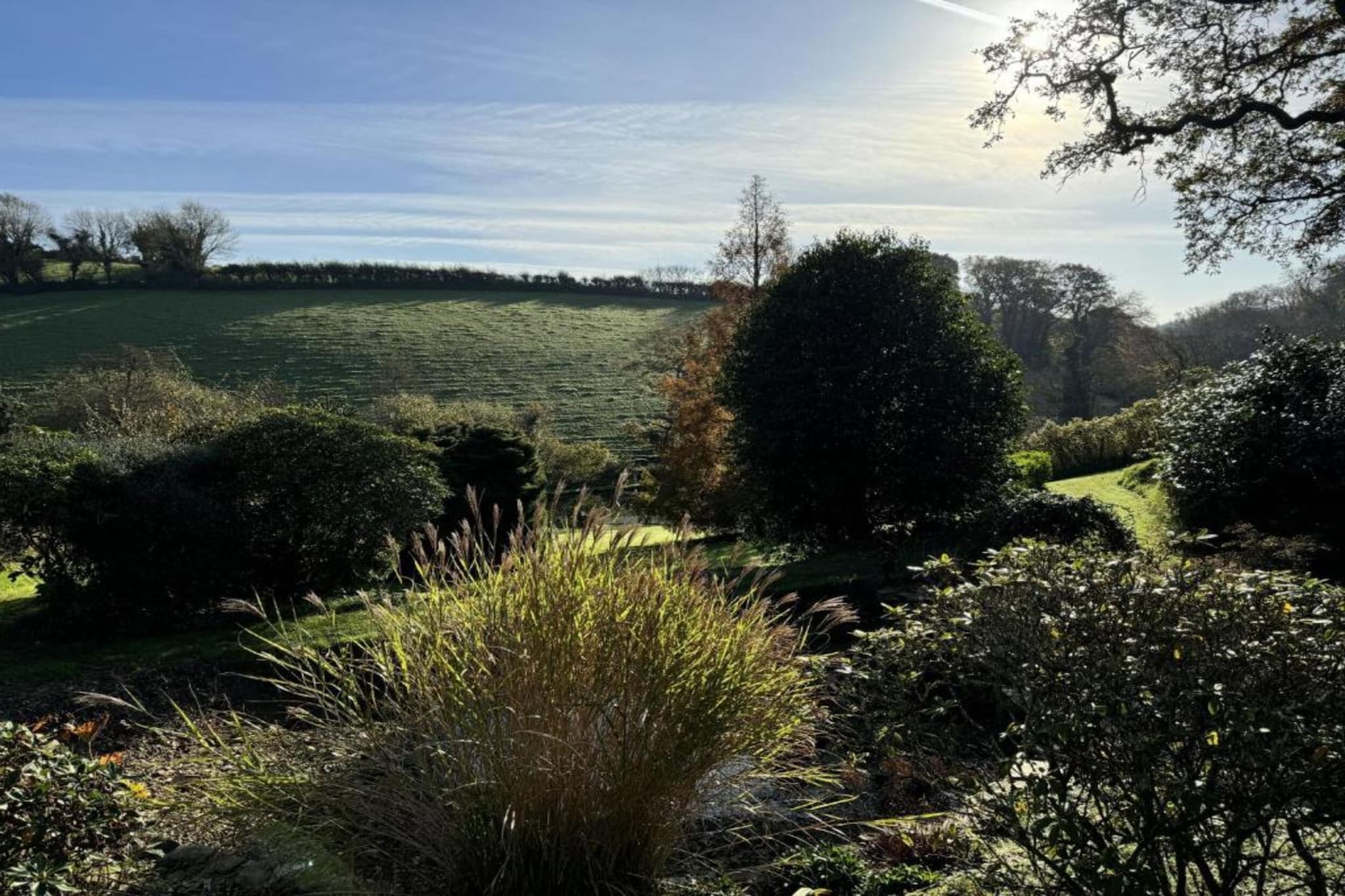 Oak Tree Lodge-Areas summer 5km