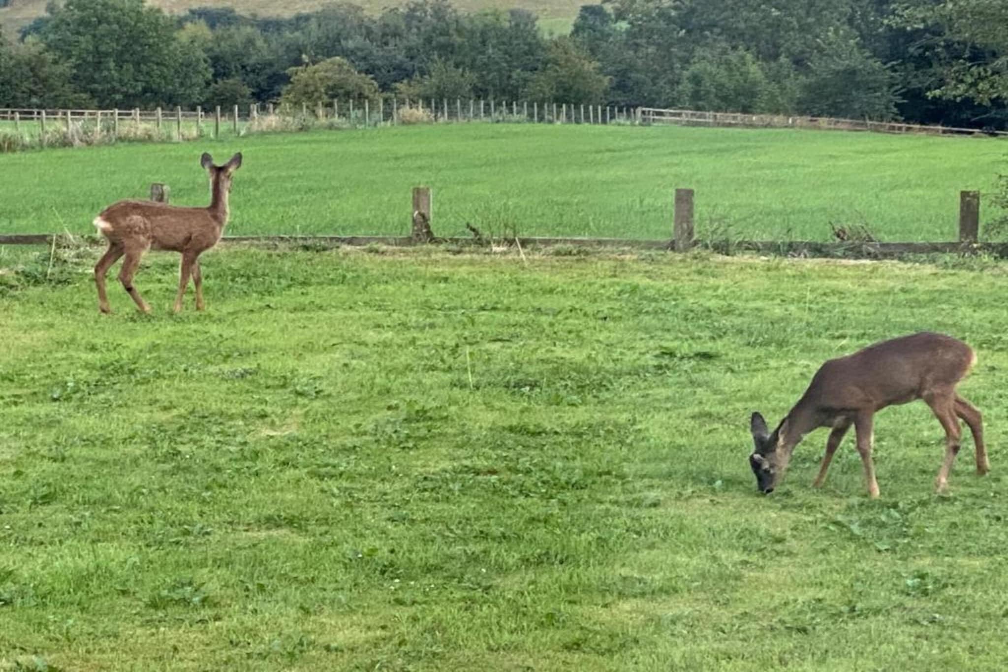 Barebones Glamping-Gebiete Sommer 5 km