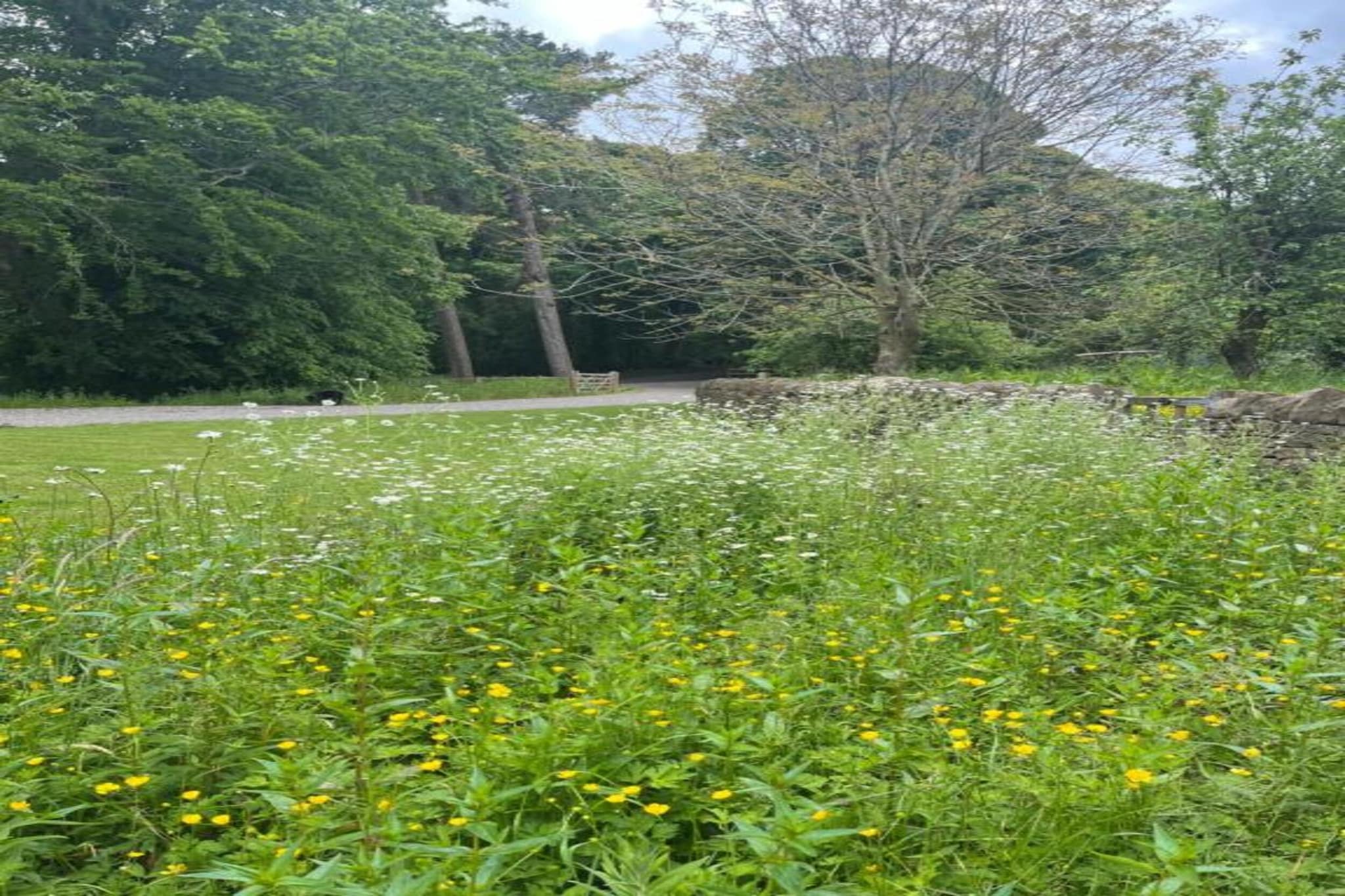 The Rushy Lot-Gebiete Sommer 5 km