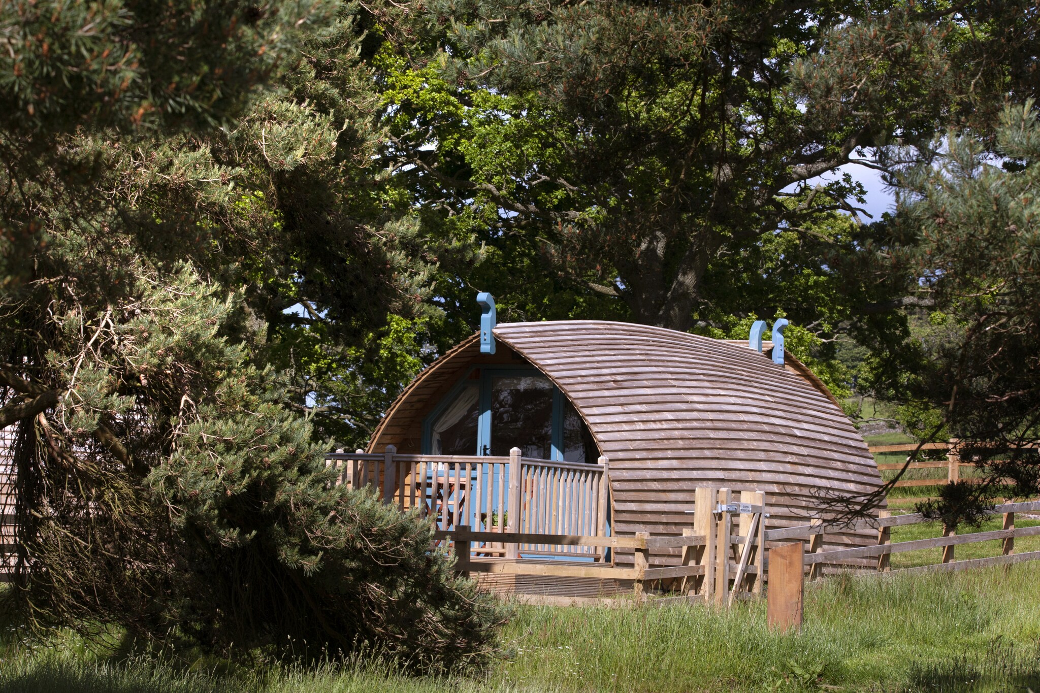 The Wonney's Glamping-Buitenkant zomer