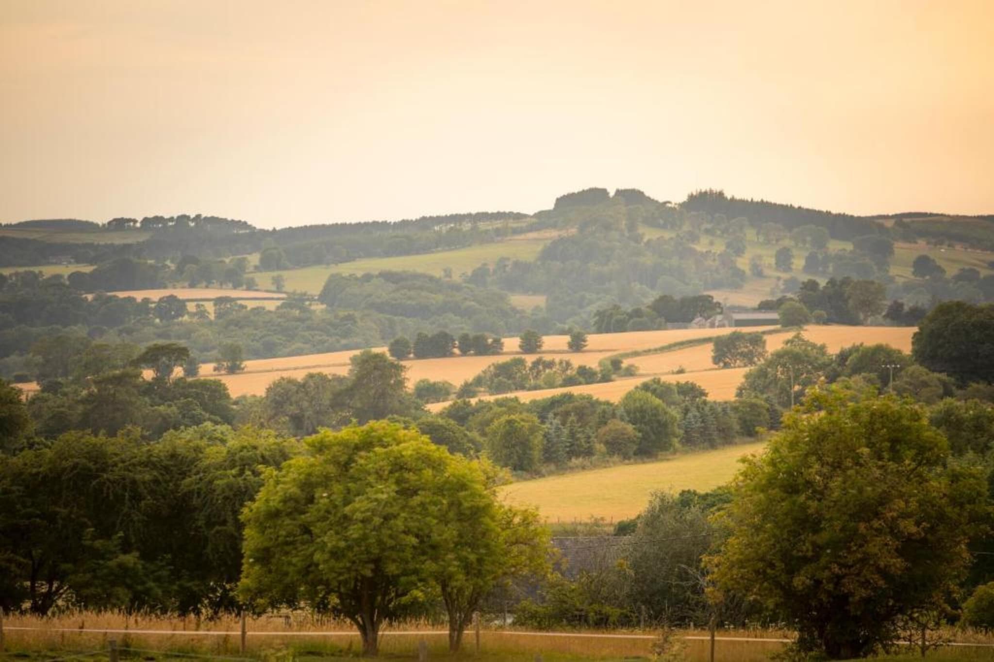 The Wonney's Glamping-Gebiete Sommer 5 km