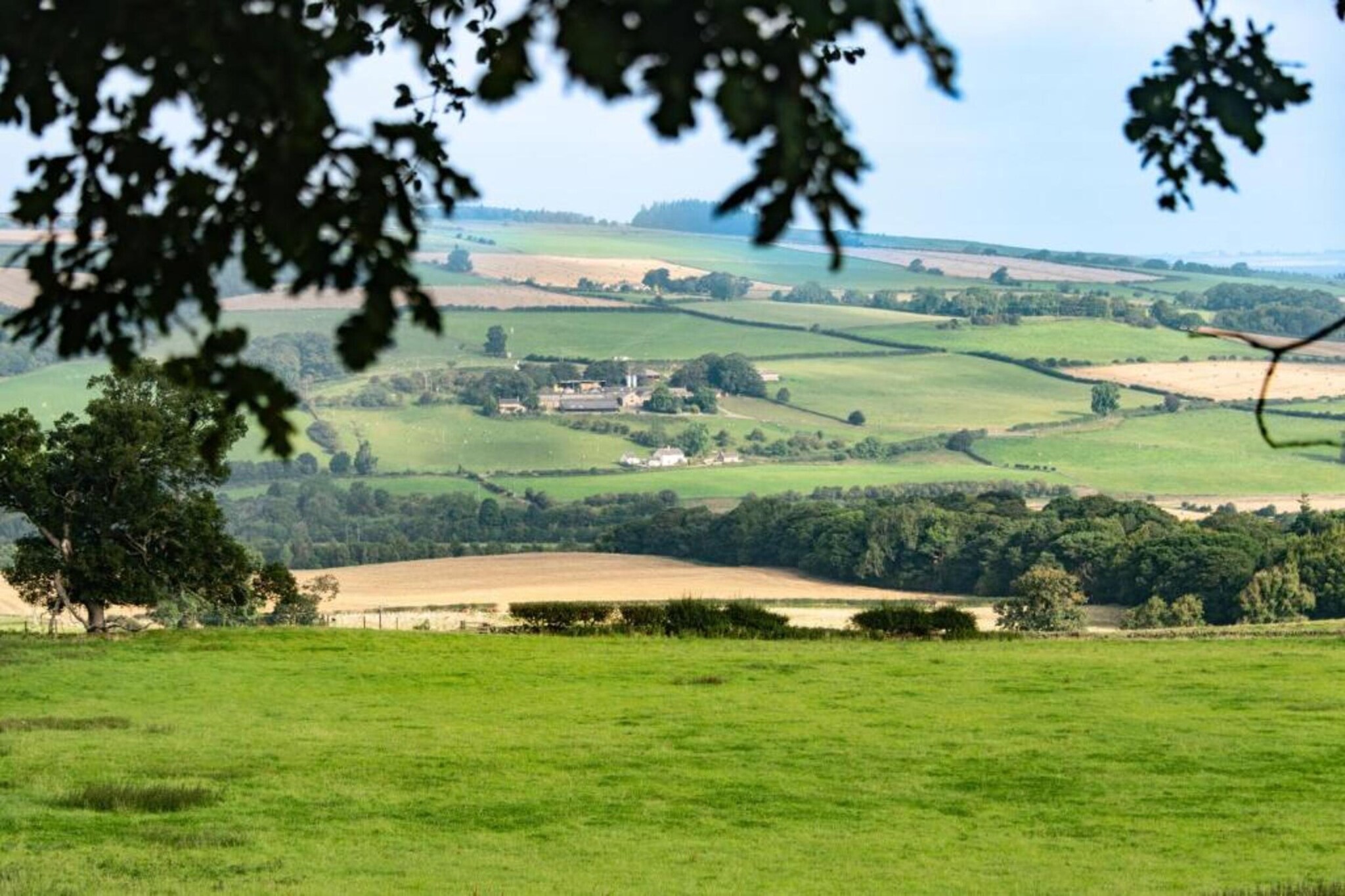 Humbleton Glamping-Gebiete Sommer 20 km