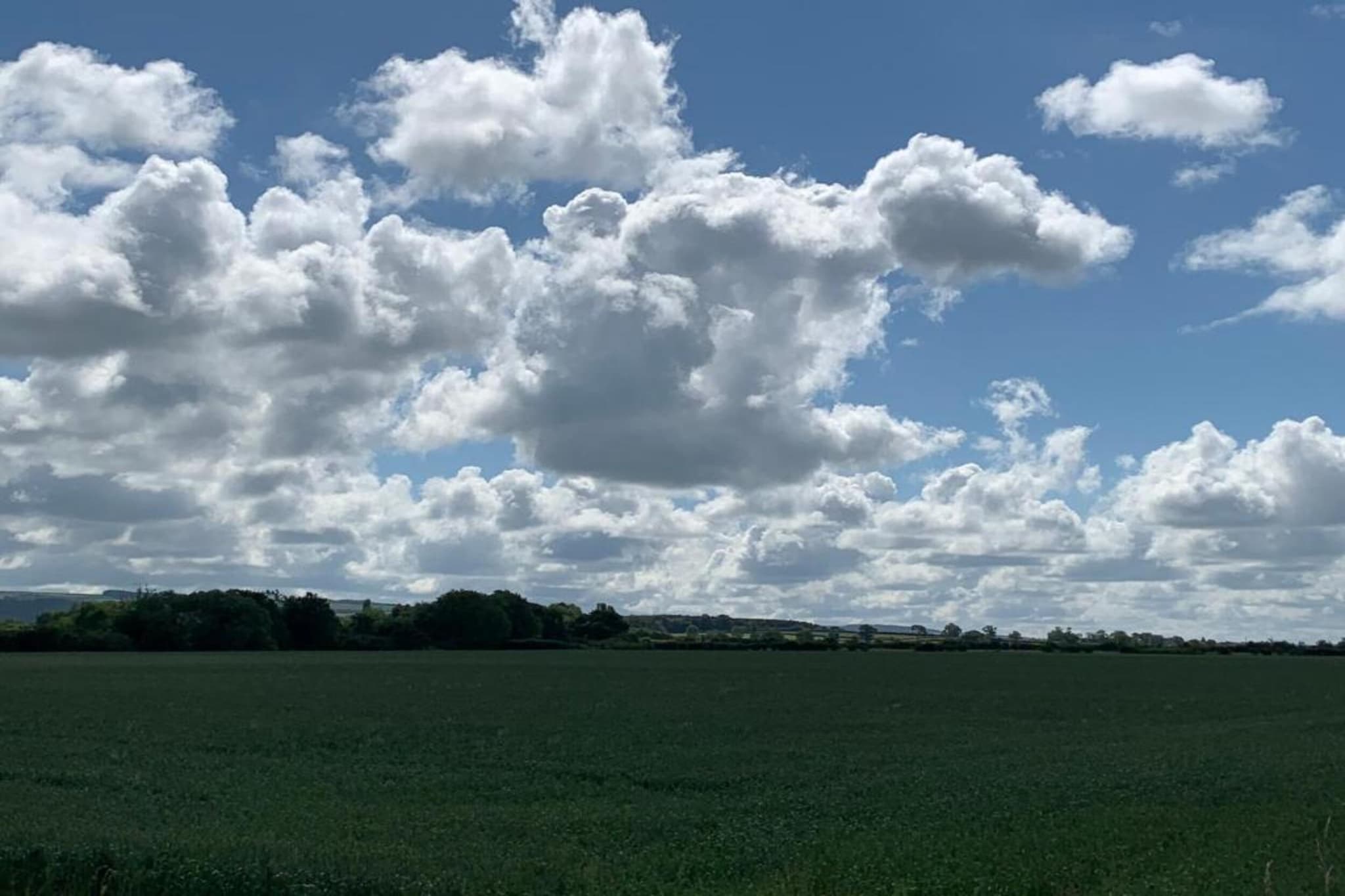 Worm Dale-Gebieden zomer 5km
