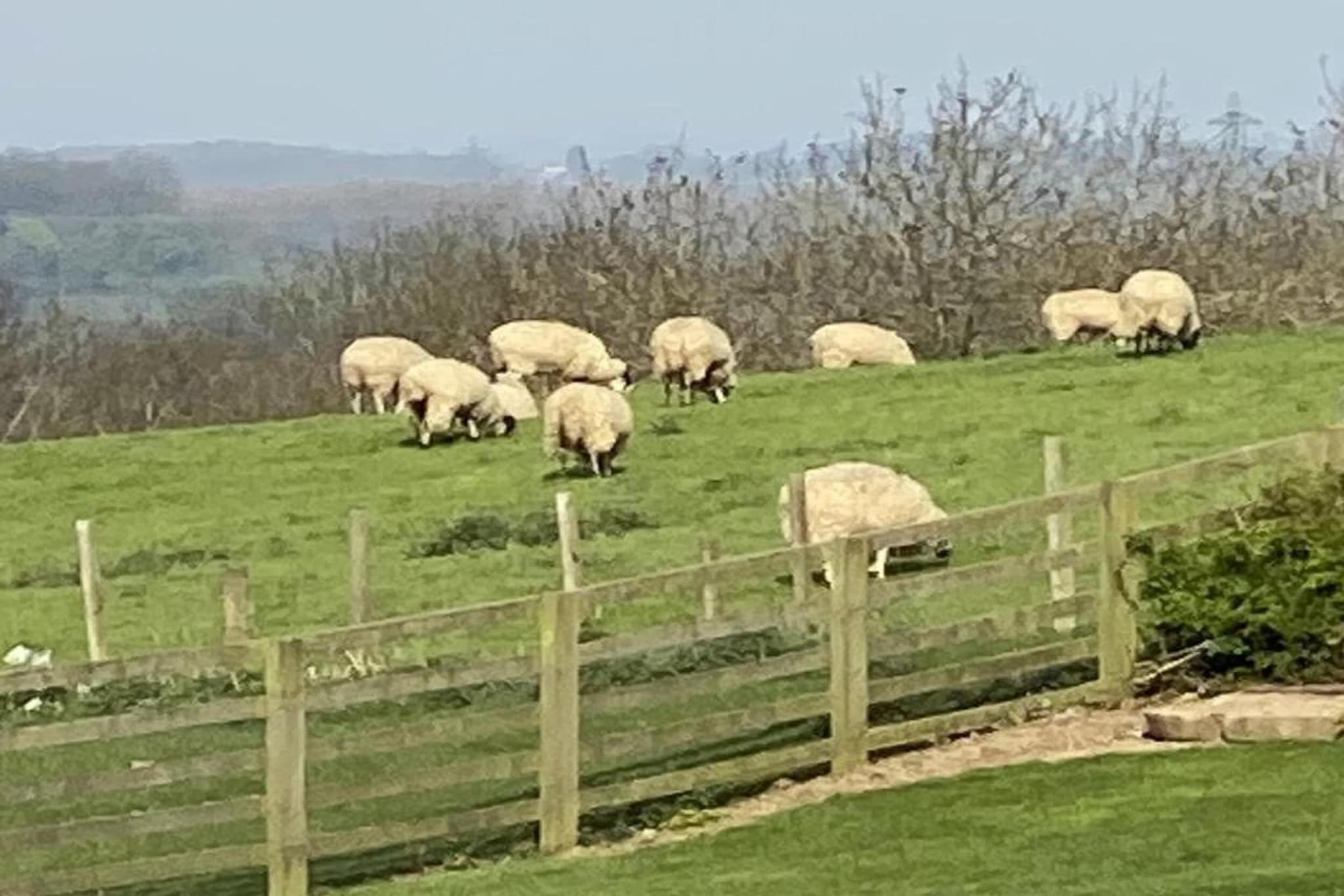 Swaledale Hall Cottage-Gebieden zomer 20km