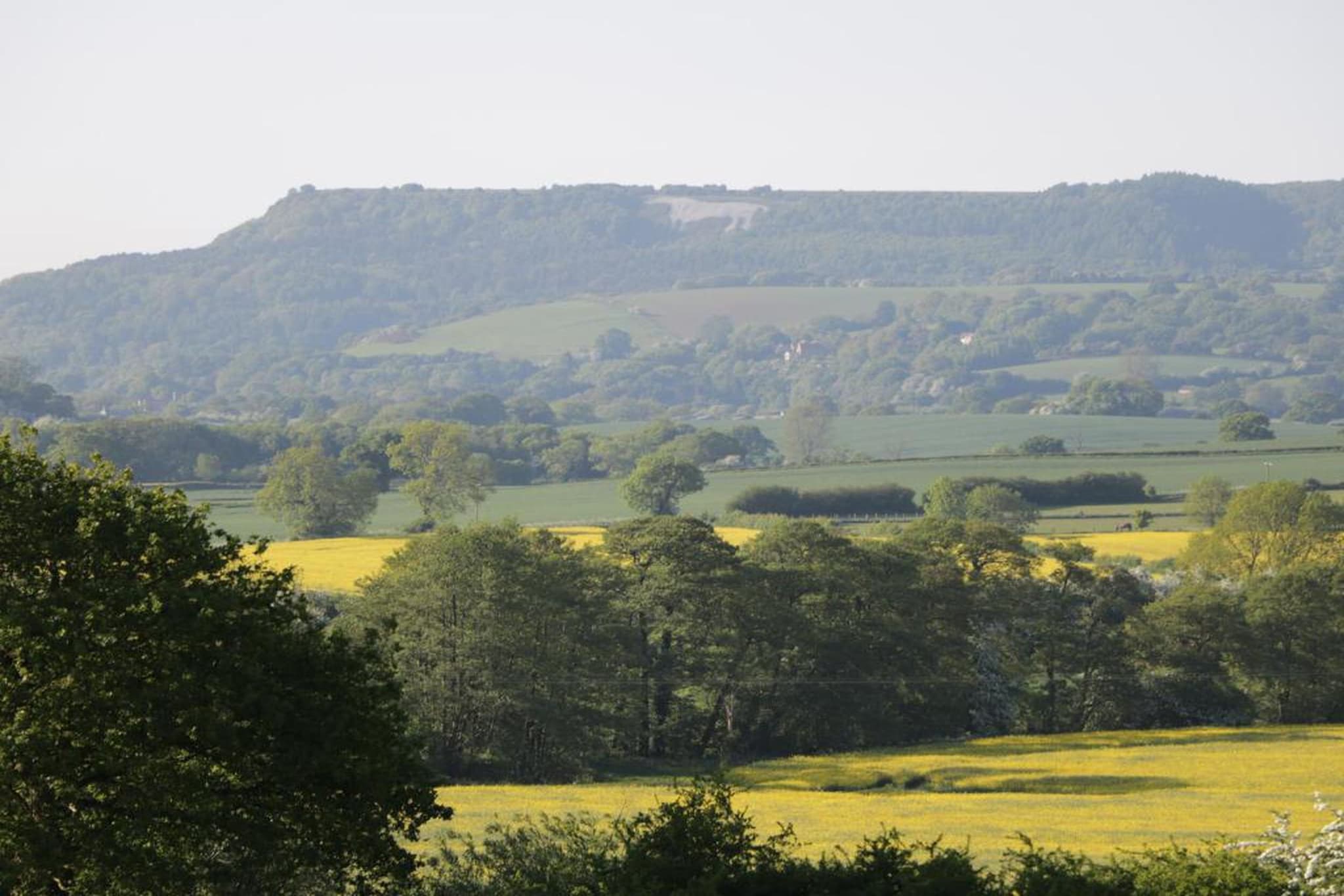 Swaledale Hall Cottage-Gebieden zomer 20km